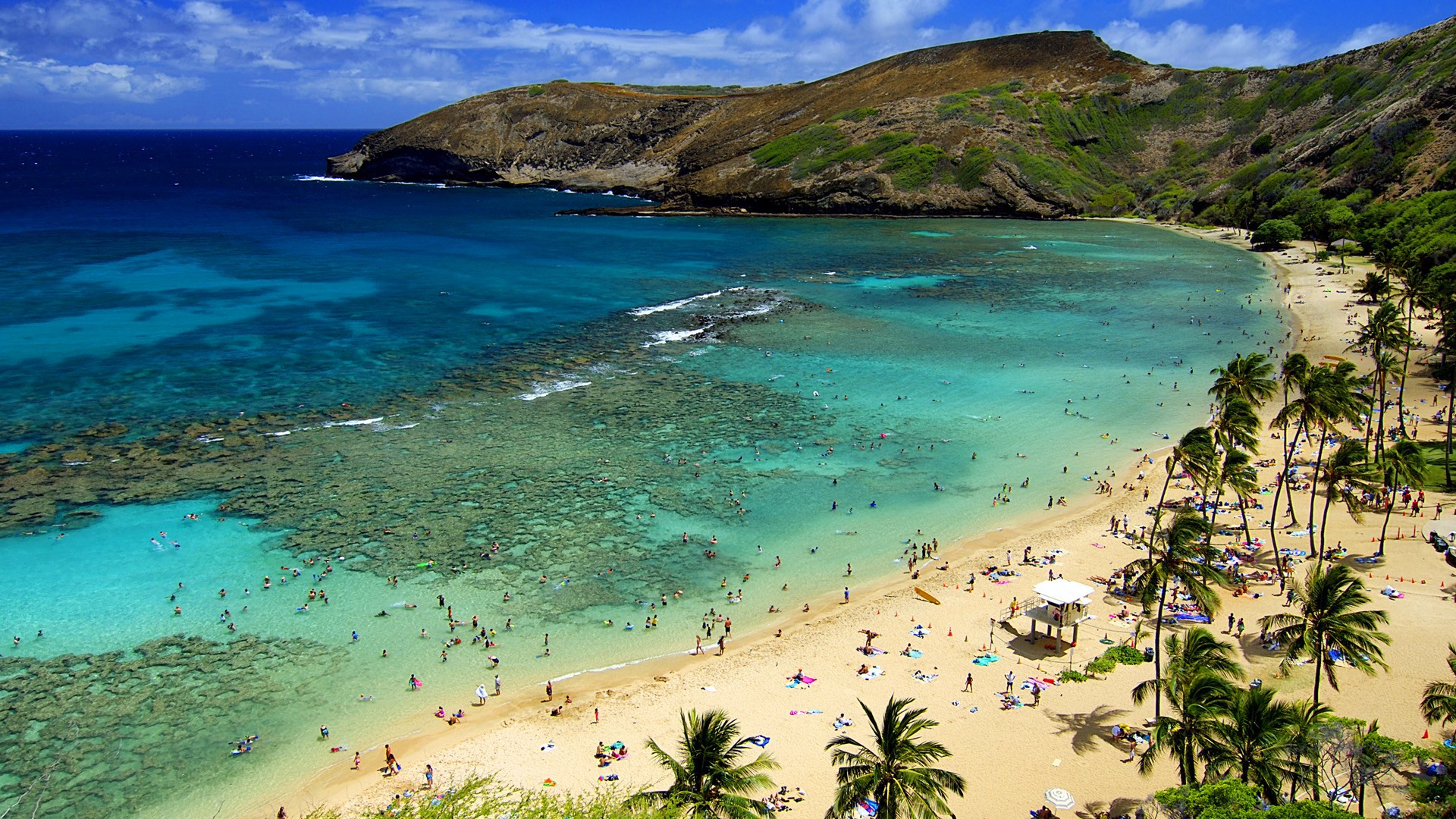 Hanauma Bay beach with coral reefs and palm trees HD Wallpaper
