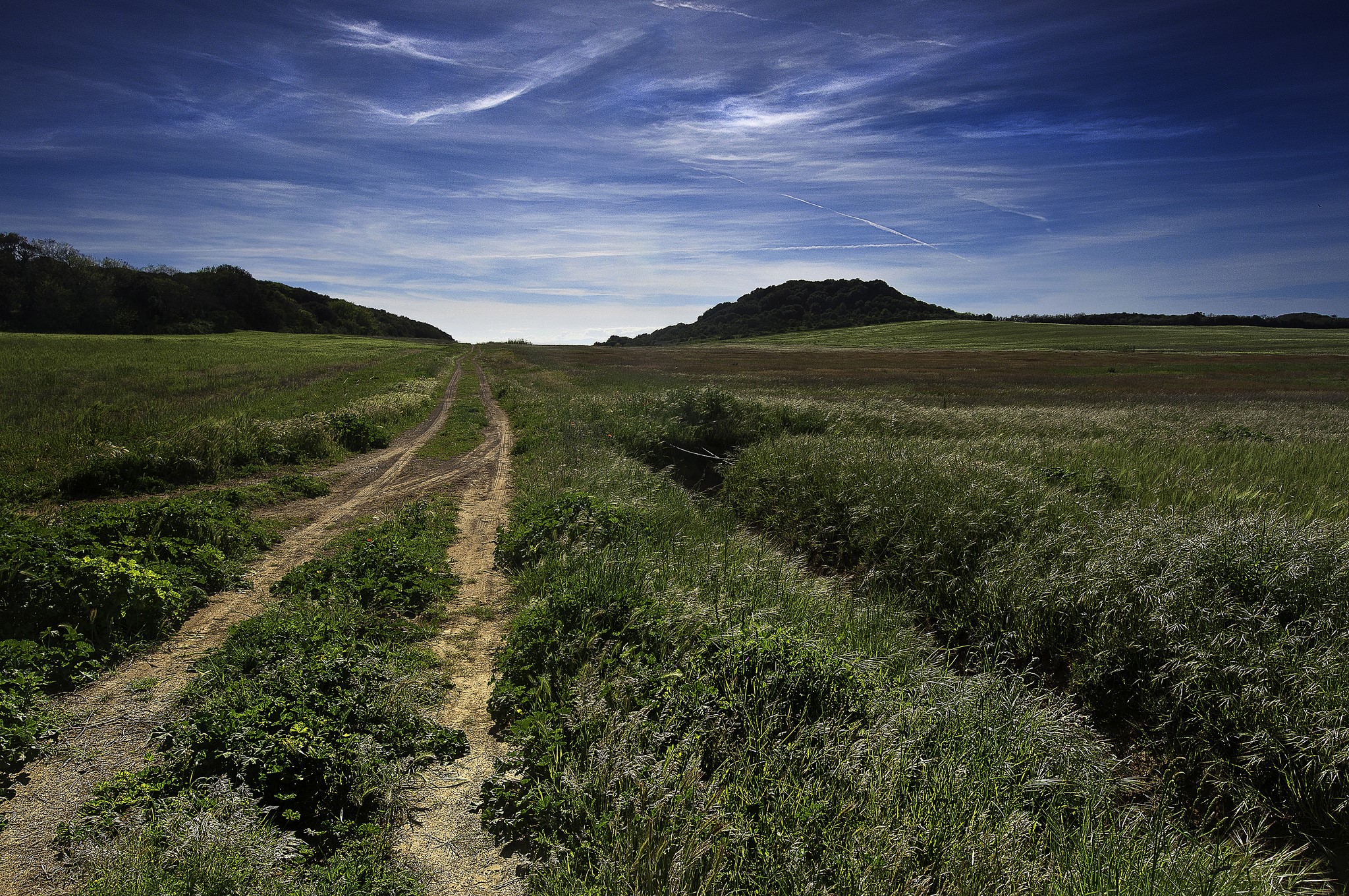 Dirt road through grassy fields under a blue sky HD Wallpaper