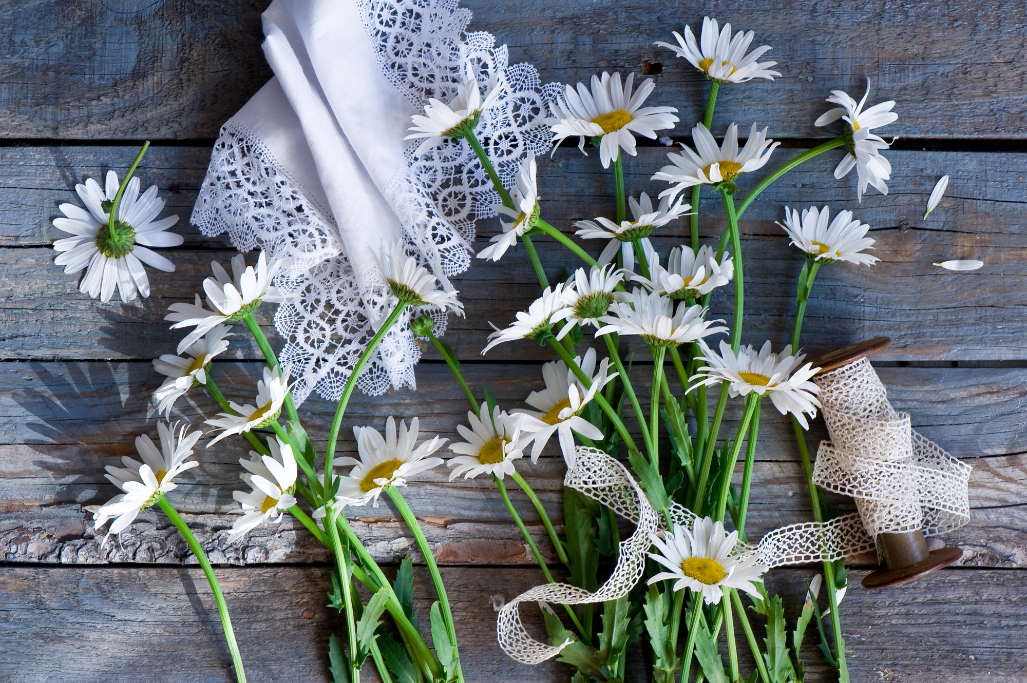Daisies with Lace and Ribbon on Wooden Background HD Wallpaper