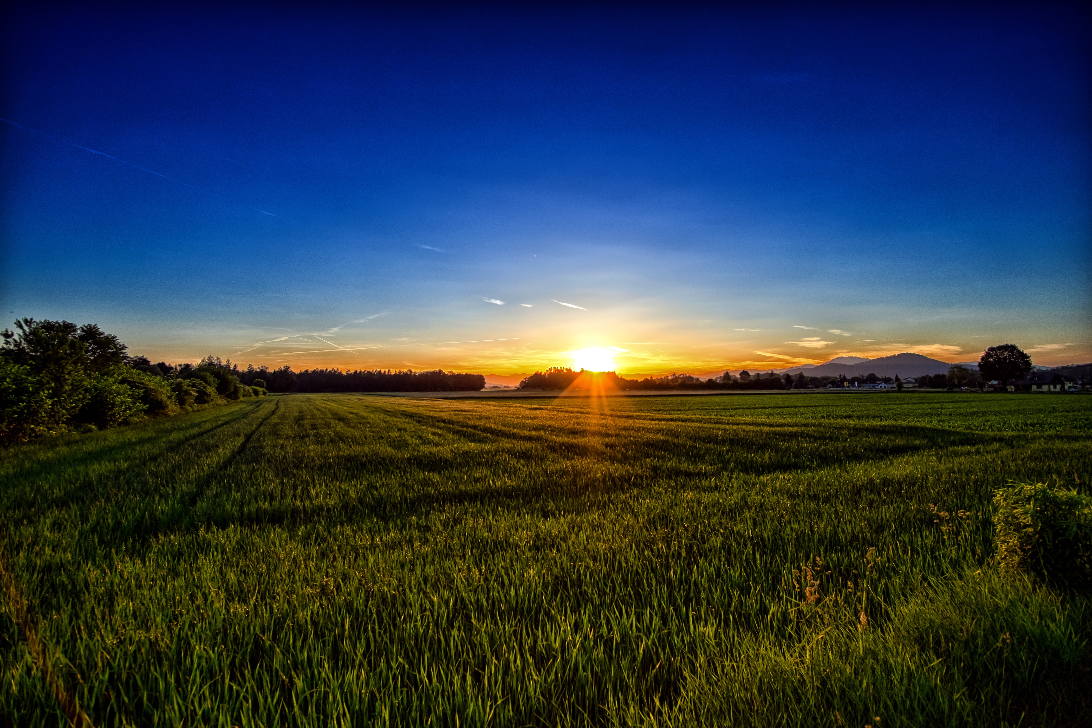 4K Scenery of Fields at Sunset HD Wallpaper