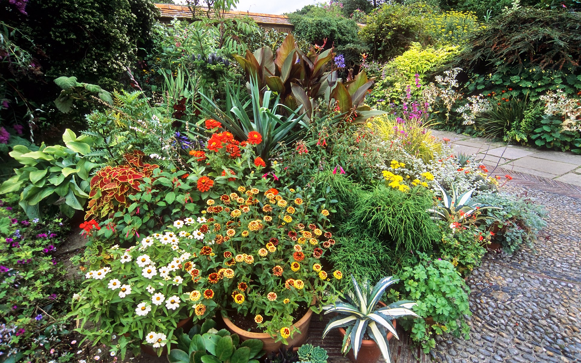 A vibrant garden with various flowers and plants HD Wallpaper
