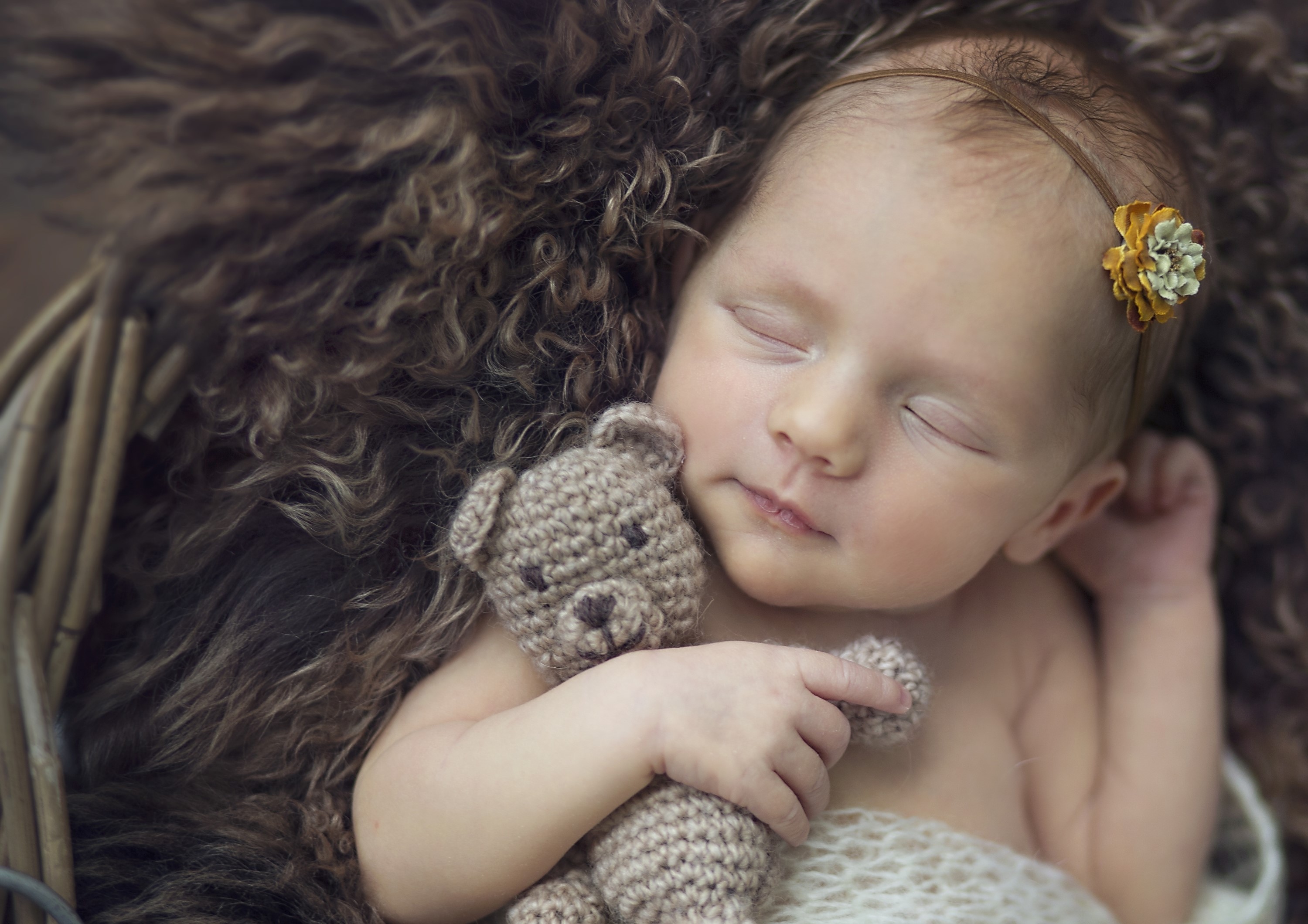 Newborn baby sleeping with a teddy bear HD Wallpaper