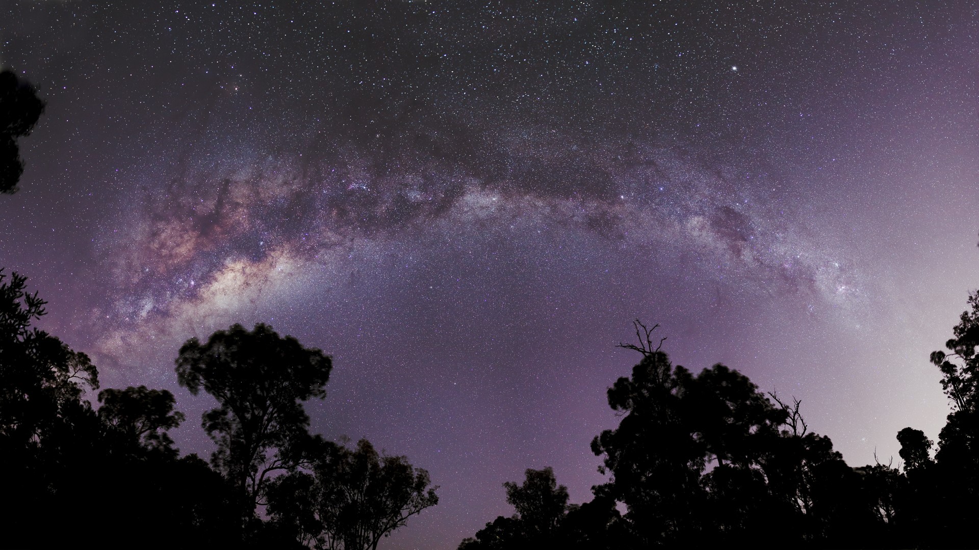 Milky Way galaxy arching over silhouetted trees at night HD Wallpaper