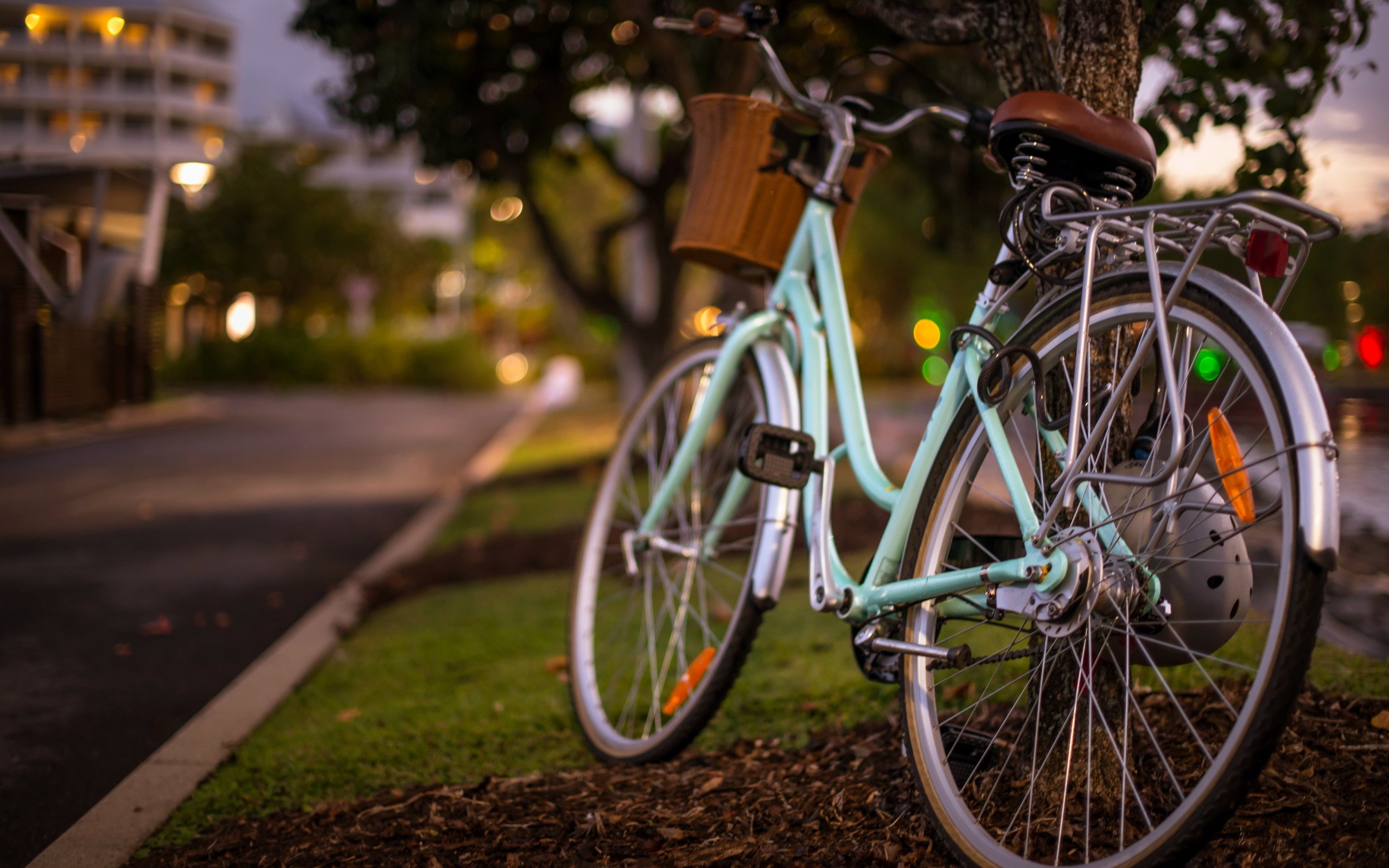 Light blue bicycle with basket parked by a tree HD Wallpaper