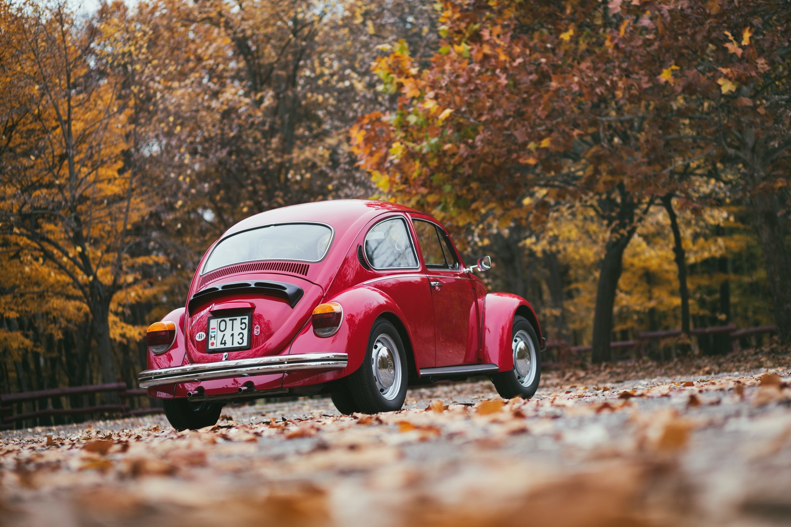 Red Volkswagen Beetle in Autumn HD Wallpaper