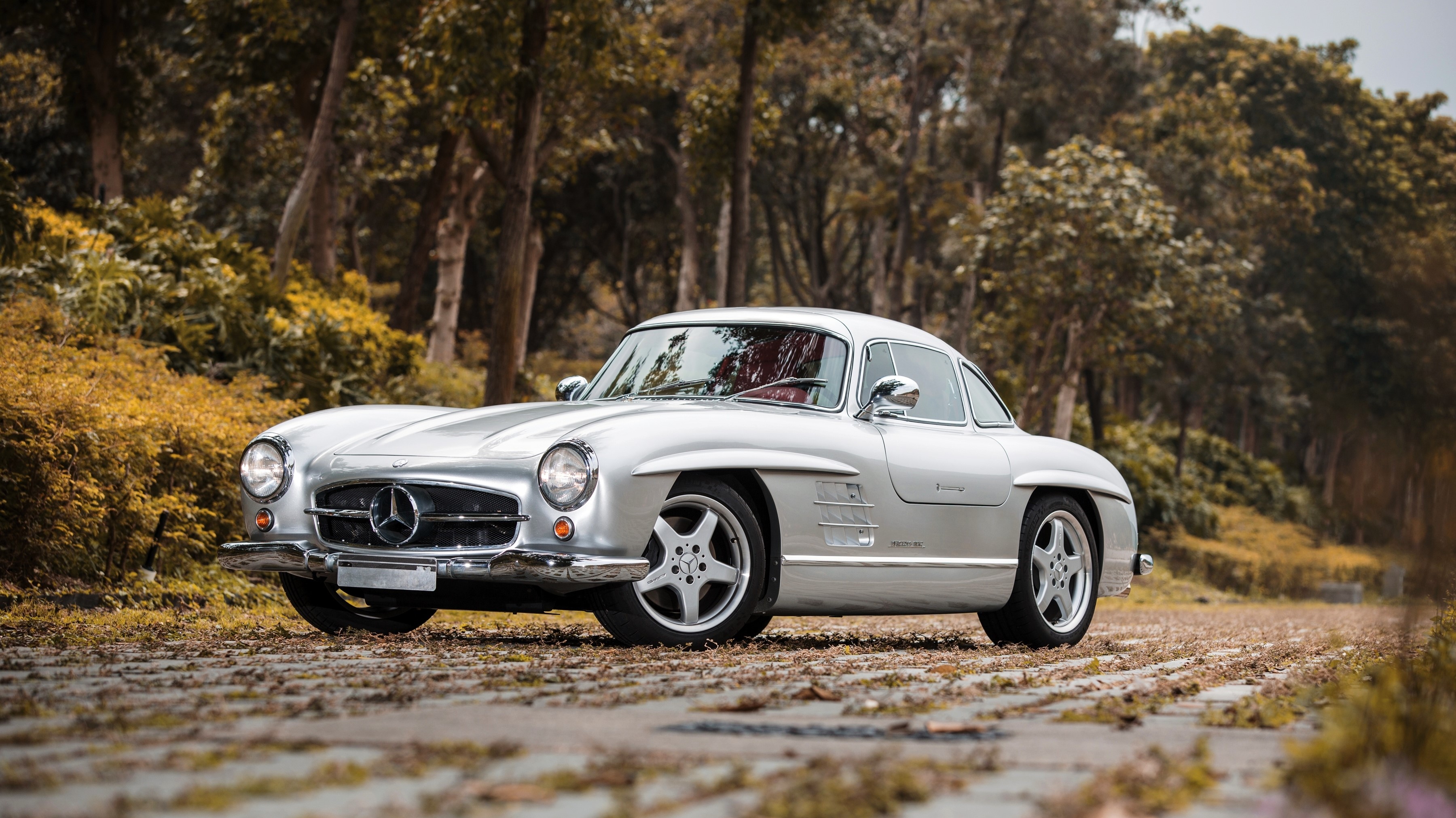 Silver Mercedes-Benz 300 SL Coupe on a Tree-Lined Road HD Wallpaper