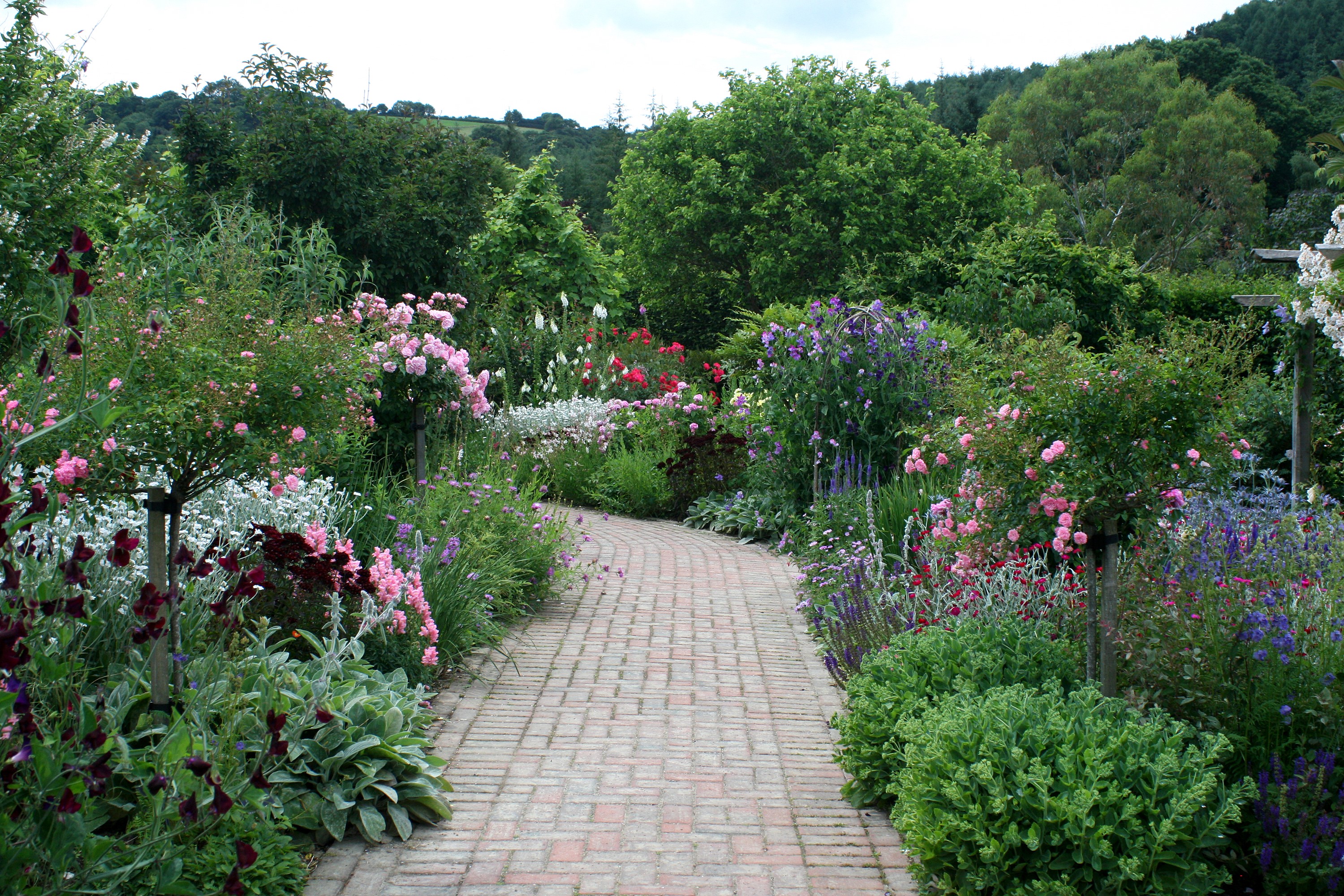 Rosemoor Rose Garden in the United Kingdom HD Wallpaper