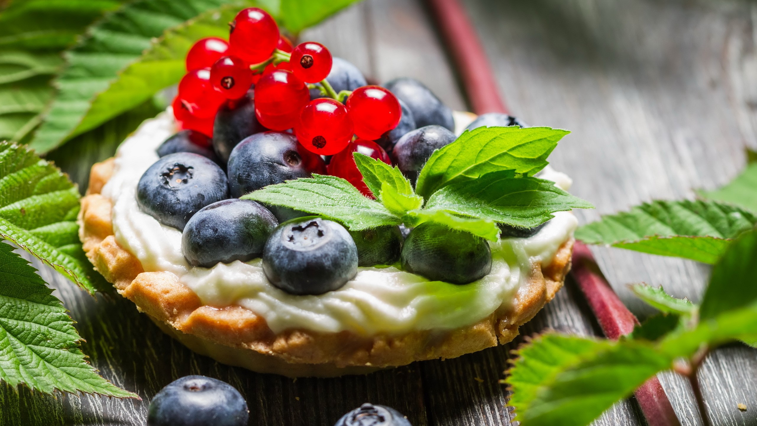 Forest cupcake with blueberries and currants HD Wallpaper