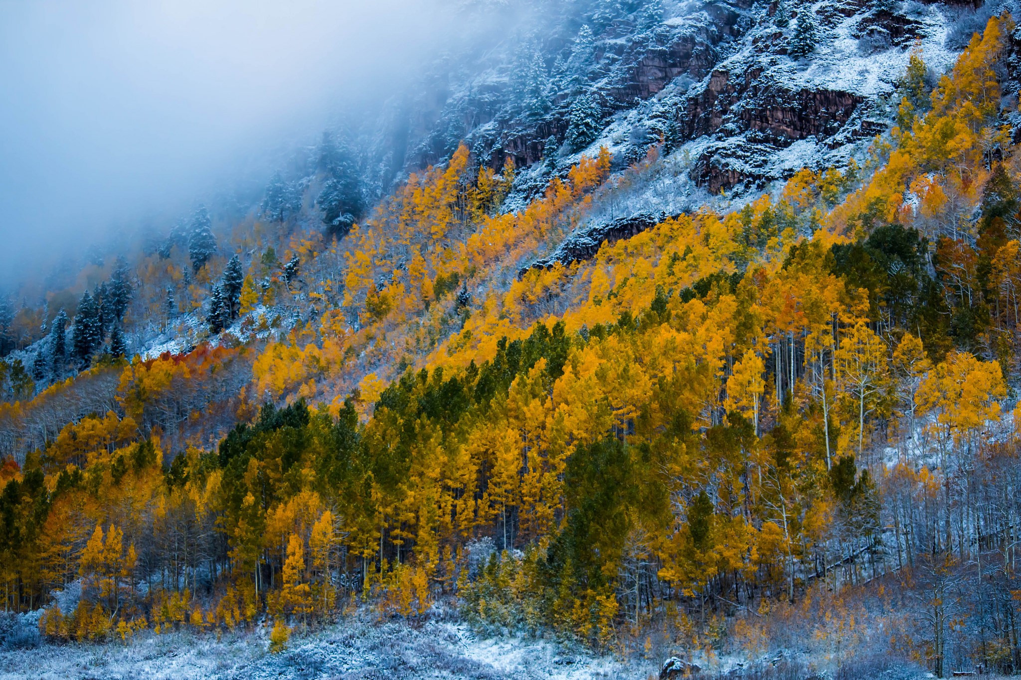 Autumn forest with snow on mountains HD Wallpaper