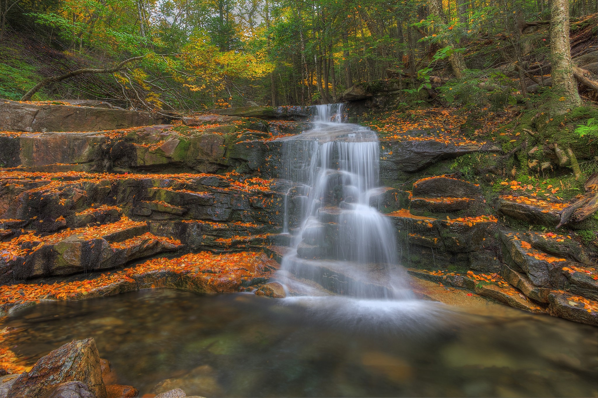 Waterfall in an autumn forest with fallen leaves HD Wallpaper