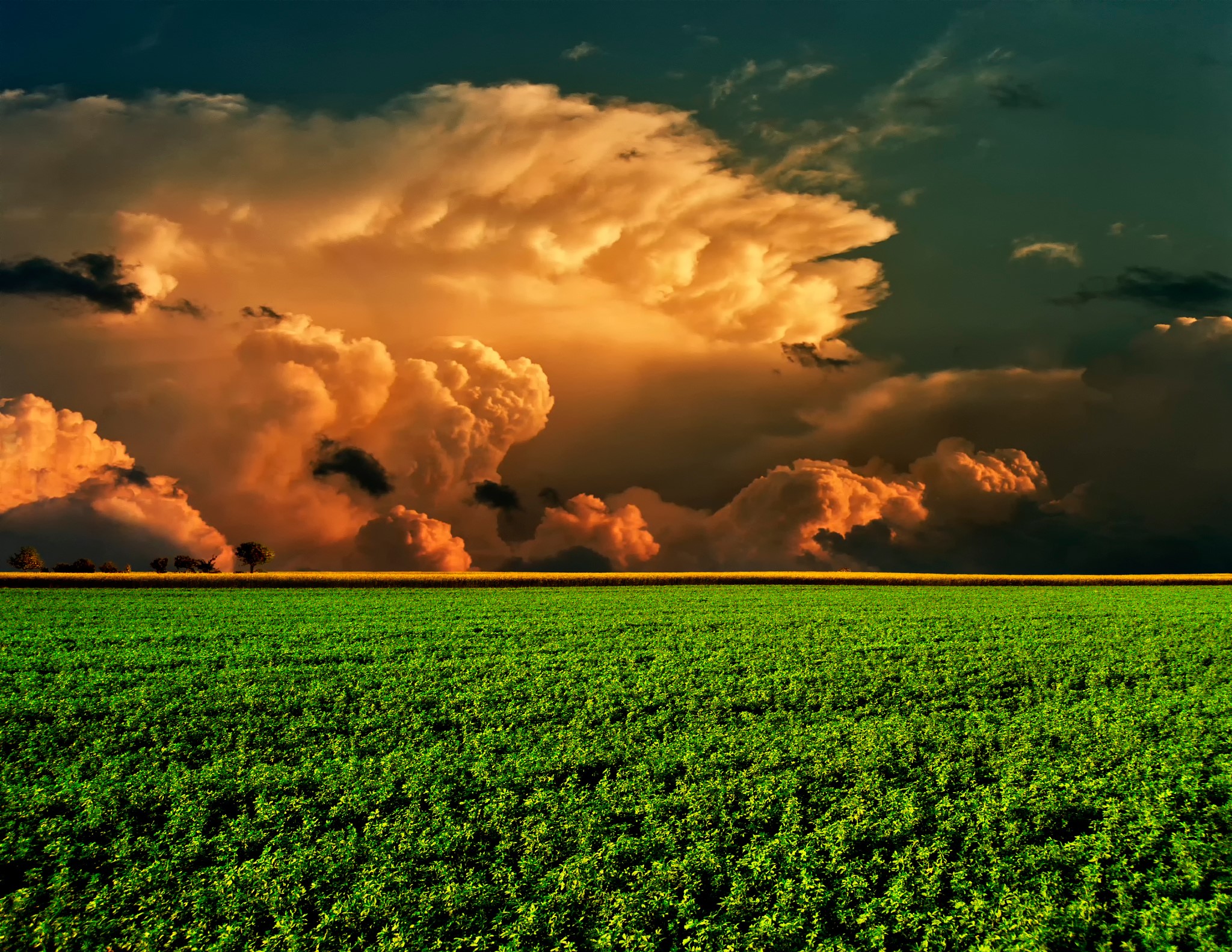Green field under dramatic storm clouds HD Wallpaper