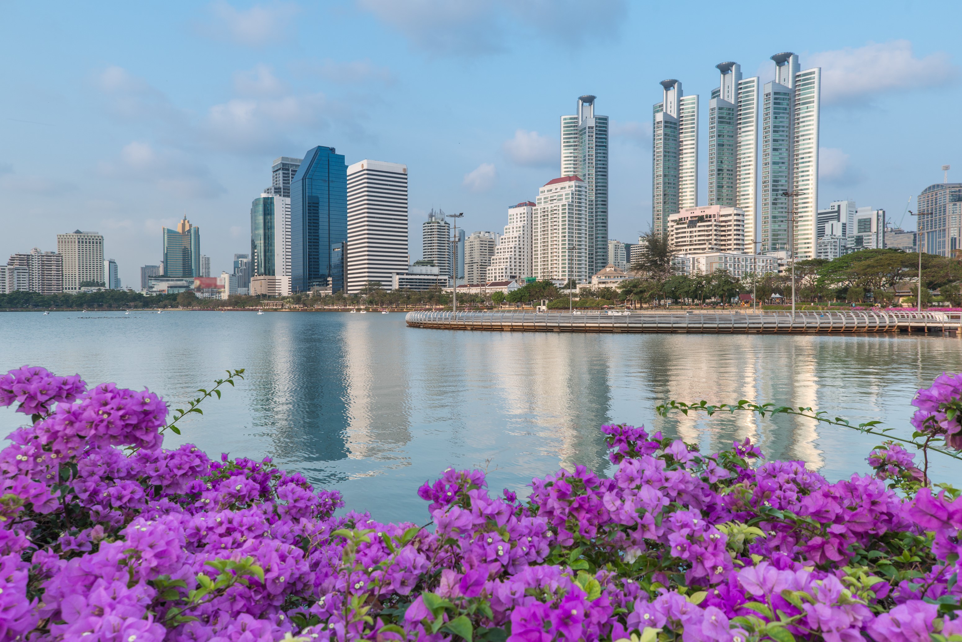 Bangkok skyscrapers reflected in a lake with purple flowers HD Wallpaper