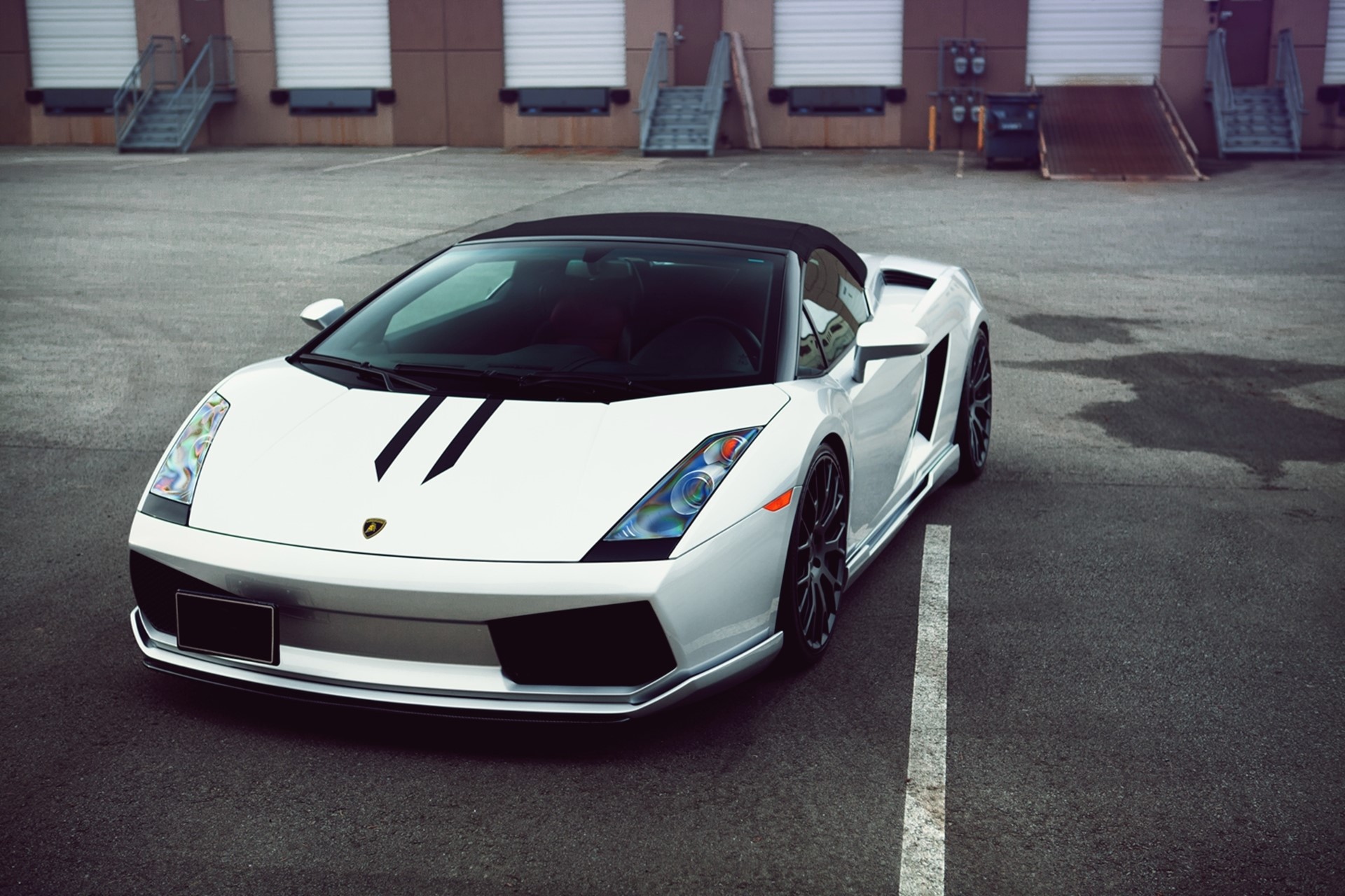 White Lamborghini Gallardo Spyder with Black Stripes HD Wallpaper