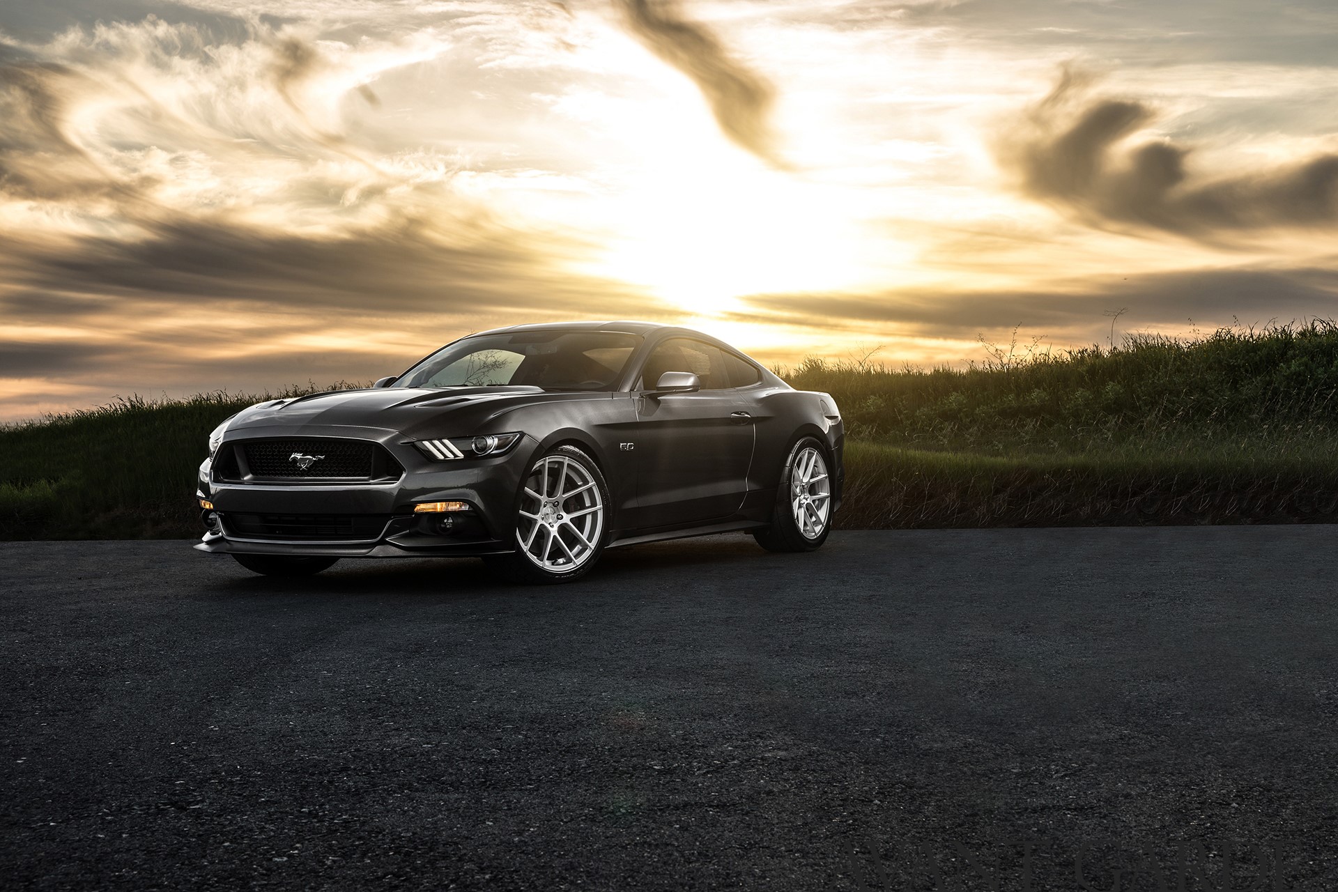 Black Ford Mustang GT on asphalt road at sunset HD Wallpaper