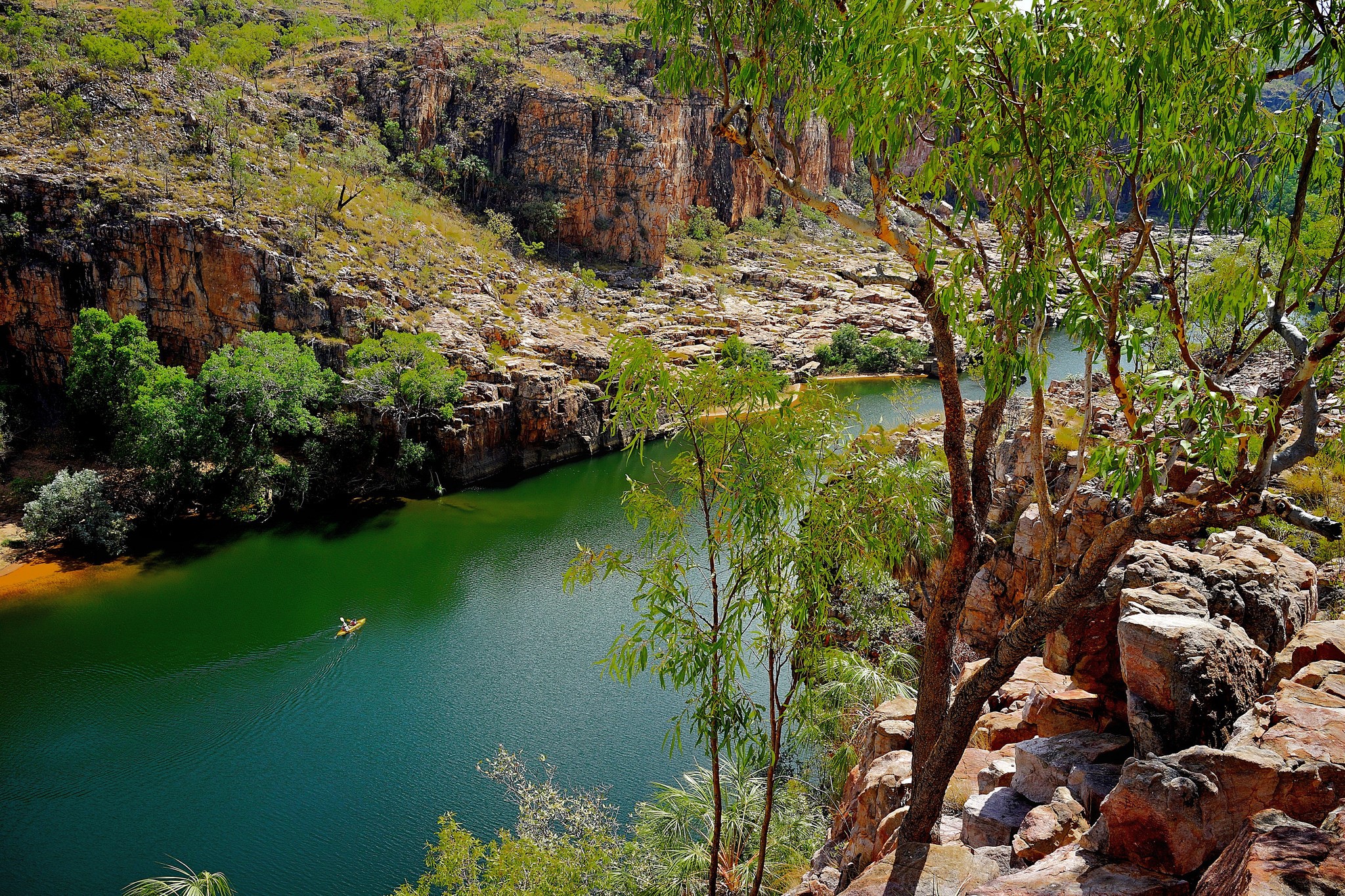 Kayaker on a river in Nitmilek National Park, Australia HD Wallpaper