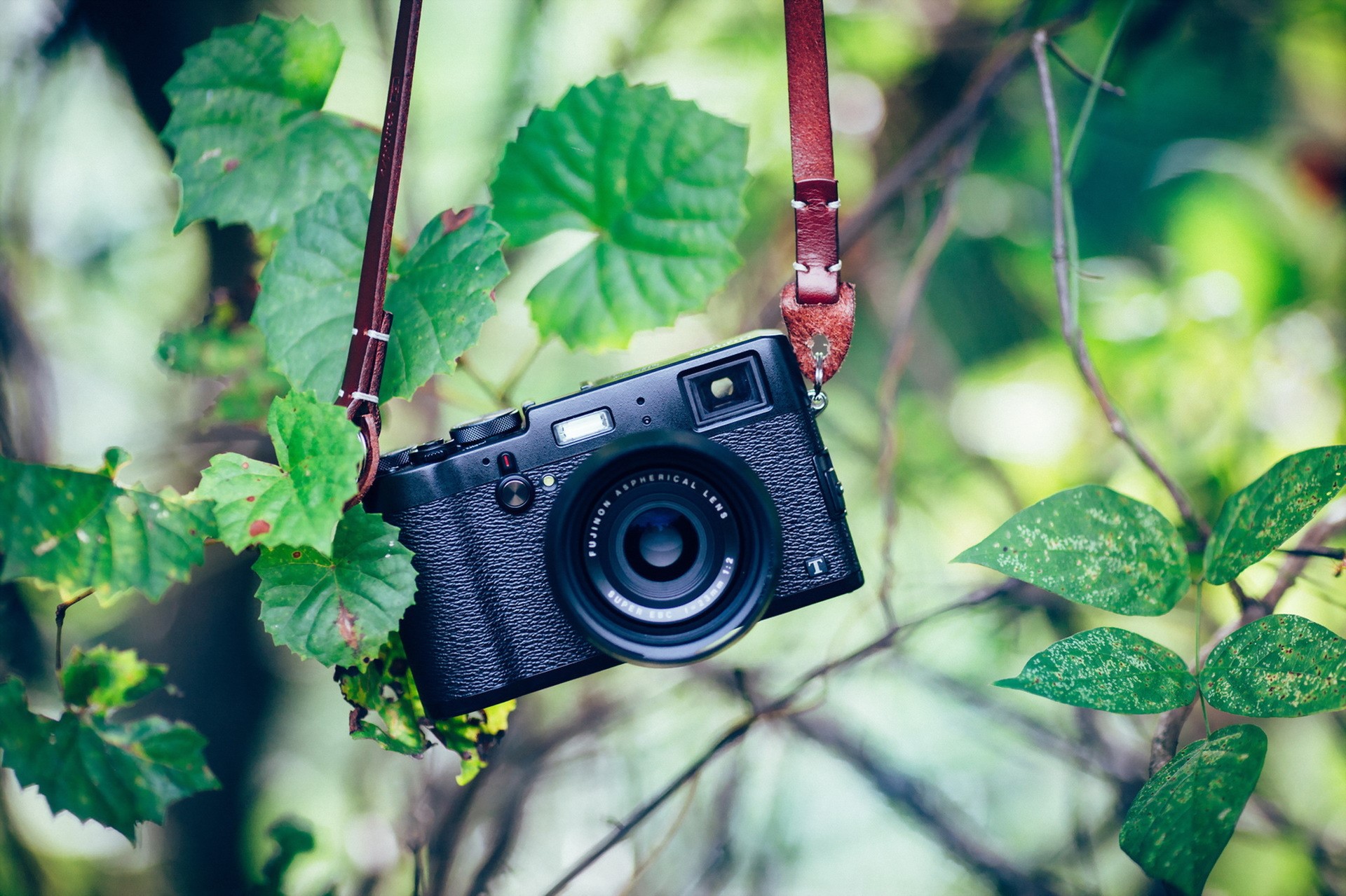 Black Fujifilm camera hanging from a strap in foliage HD Wallpaper