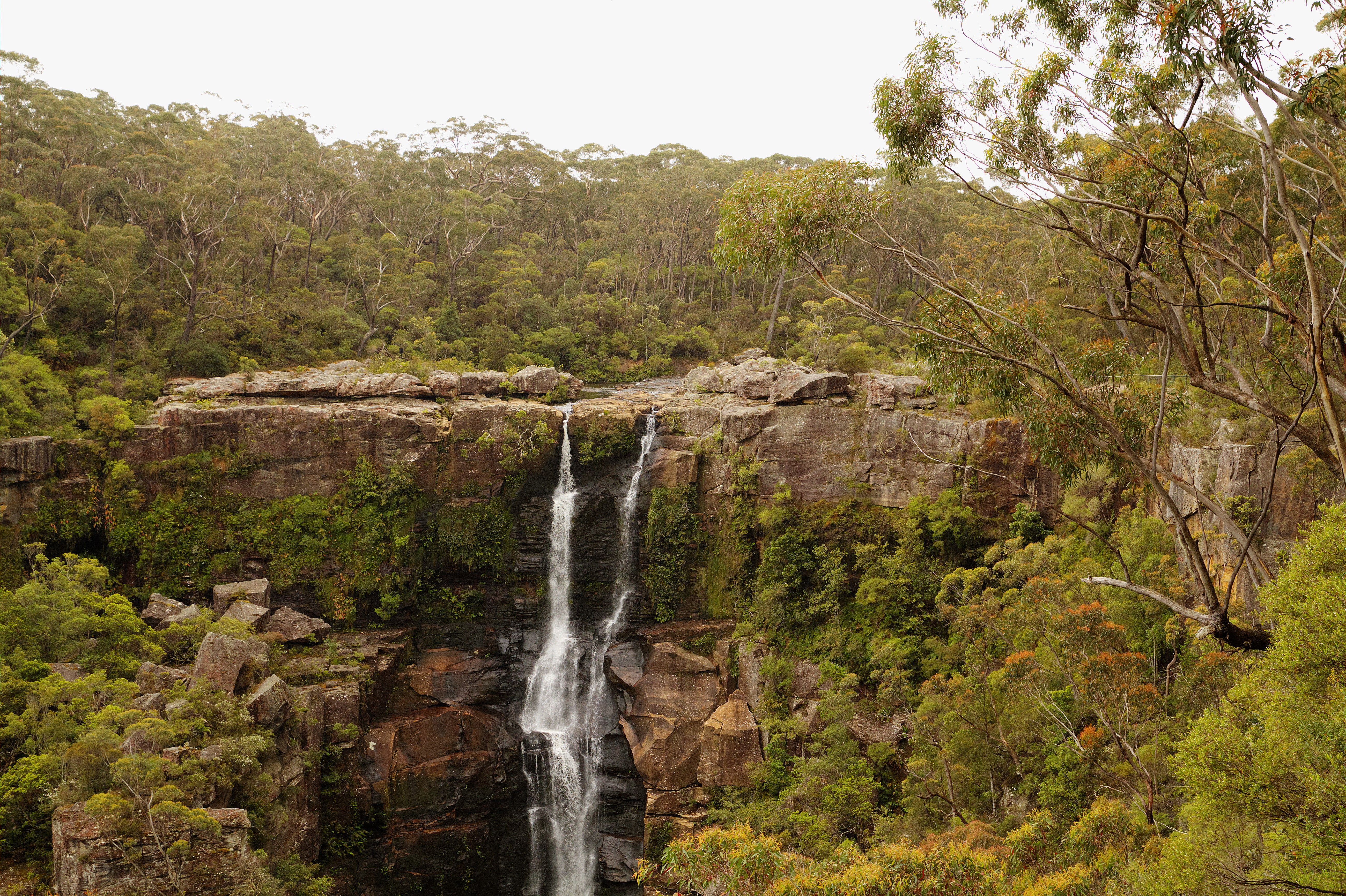 Carrington Falls Robertson, Australia HD Wallpaper