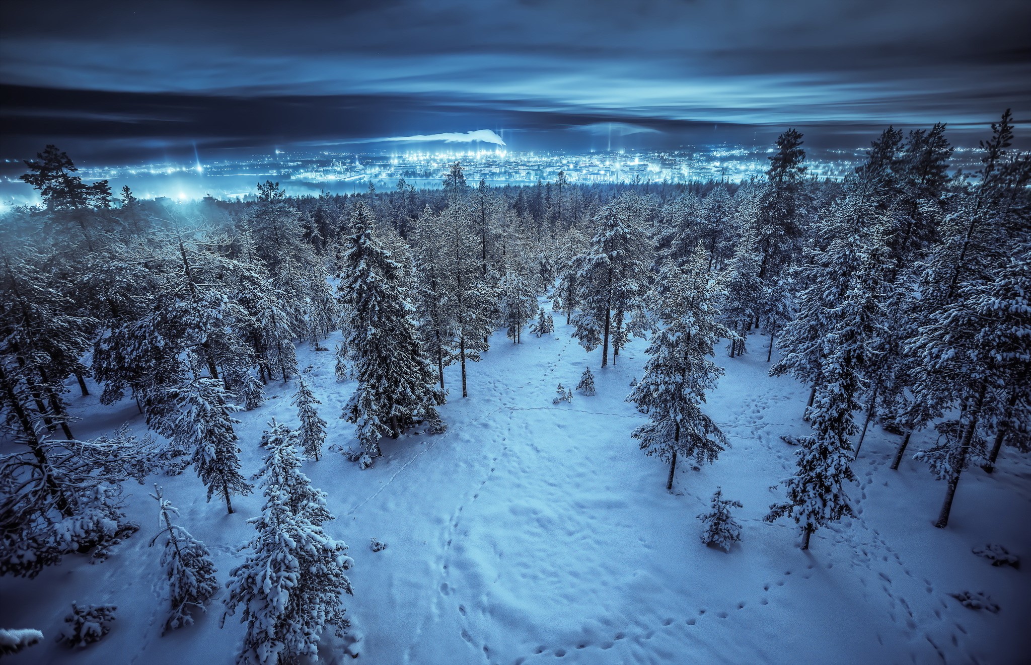 Snowy forest at night with distant city lights HD Wallpaper