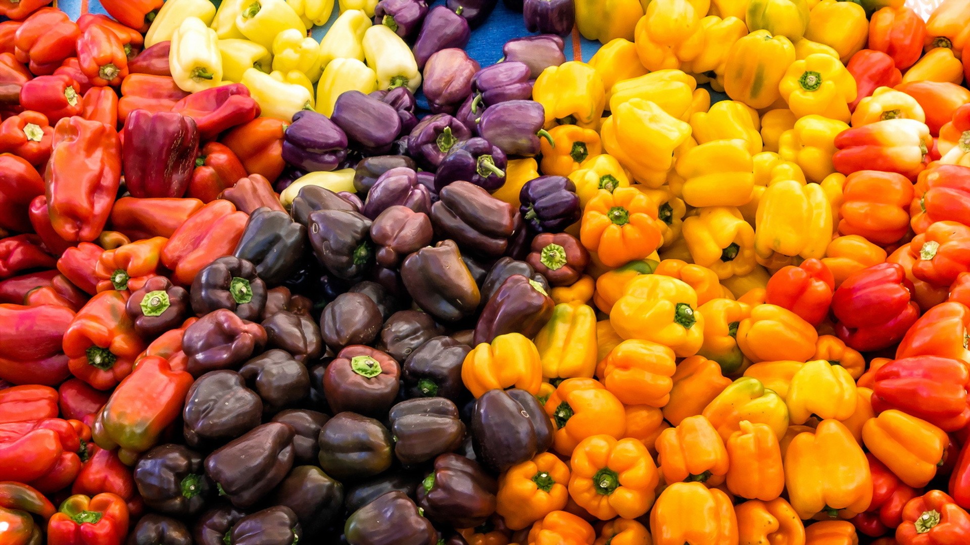 Assortment of colorful bell peppers HD Wallpaper
