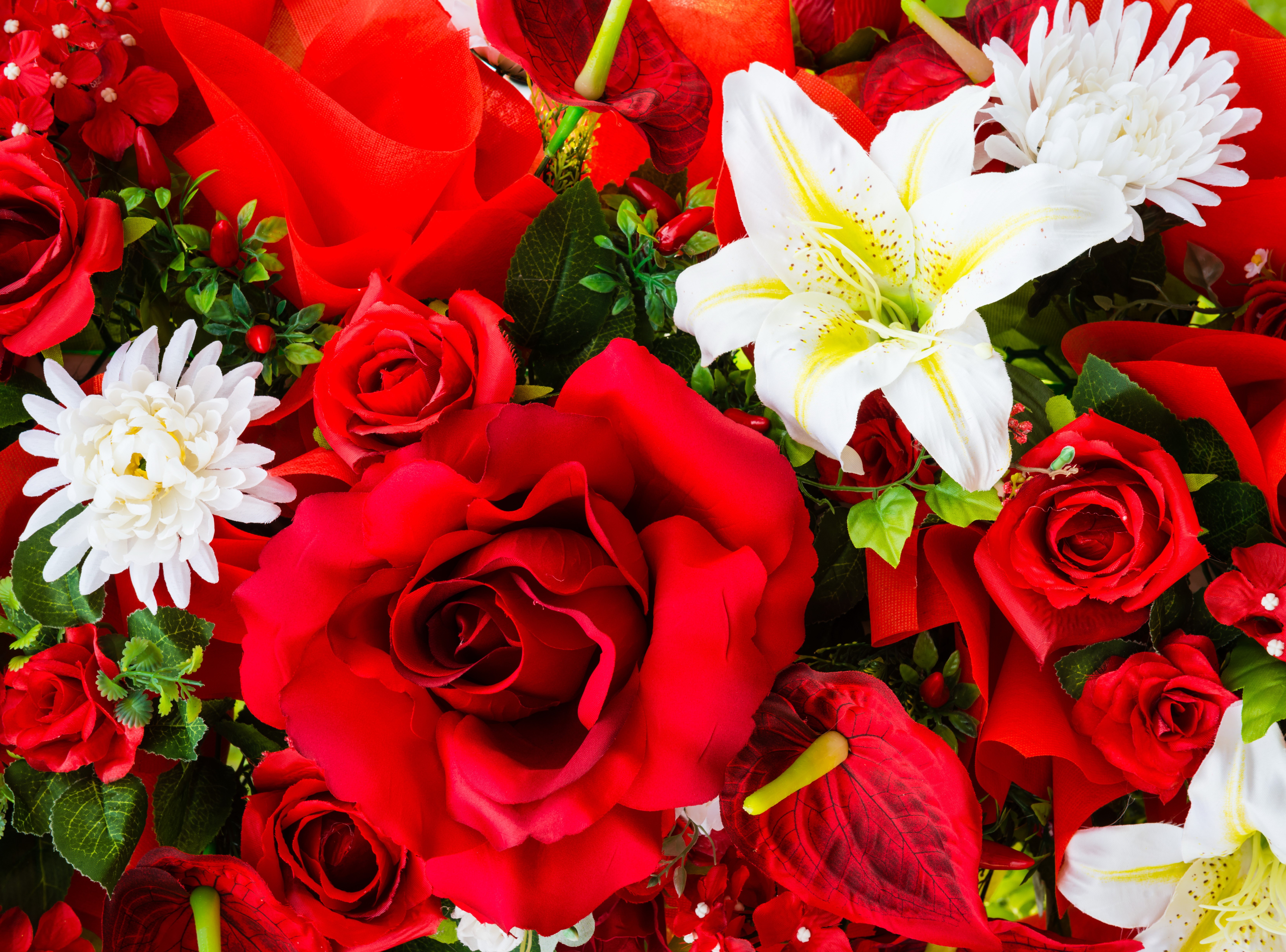 Roses, Lilies, Chrysanthemums, and Anthurium Flowers HD Wallpaper