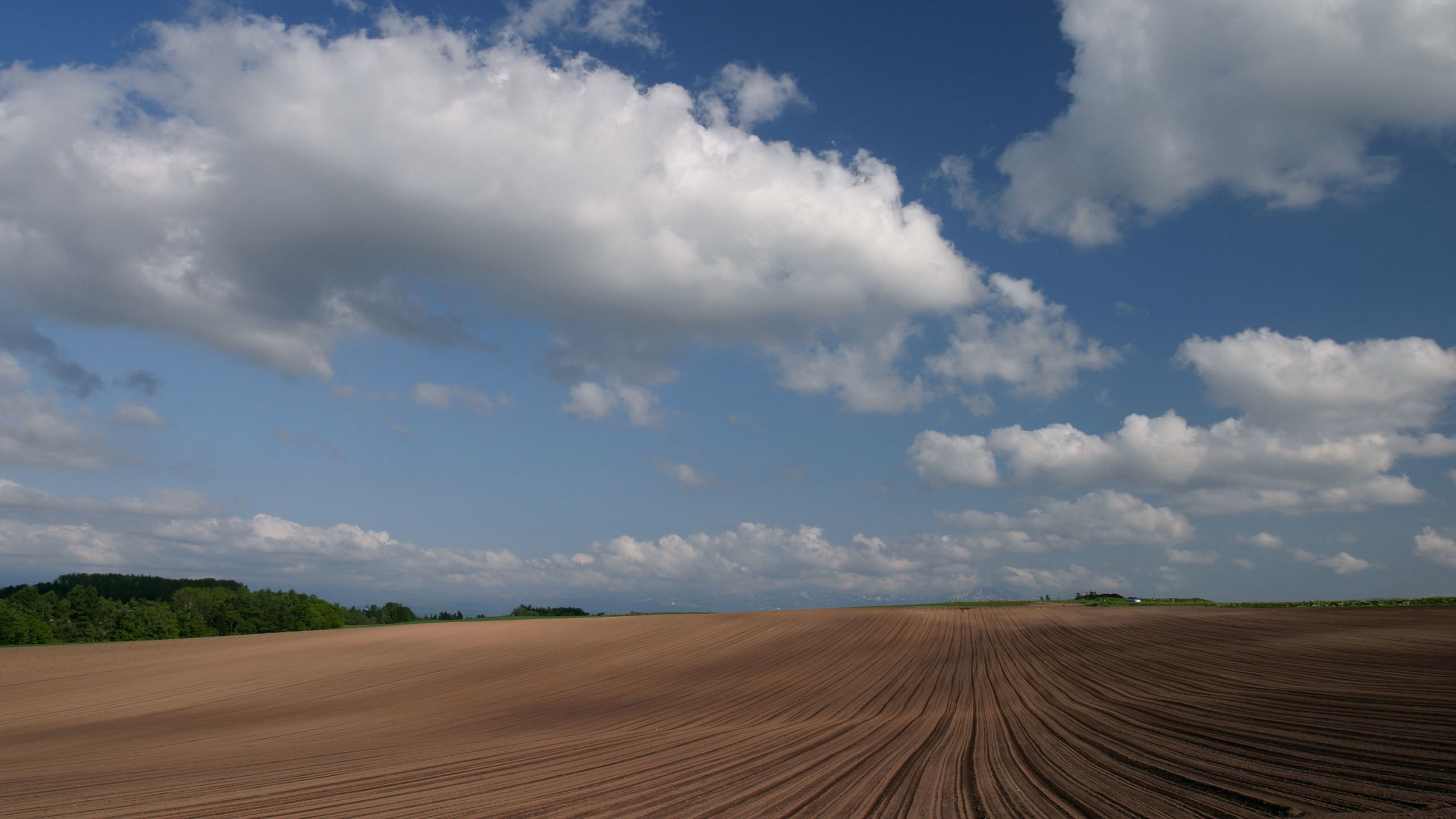 Plowed field under a cloudy blue sky HD Wallpaper