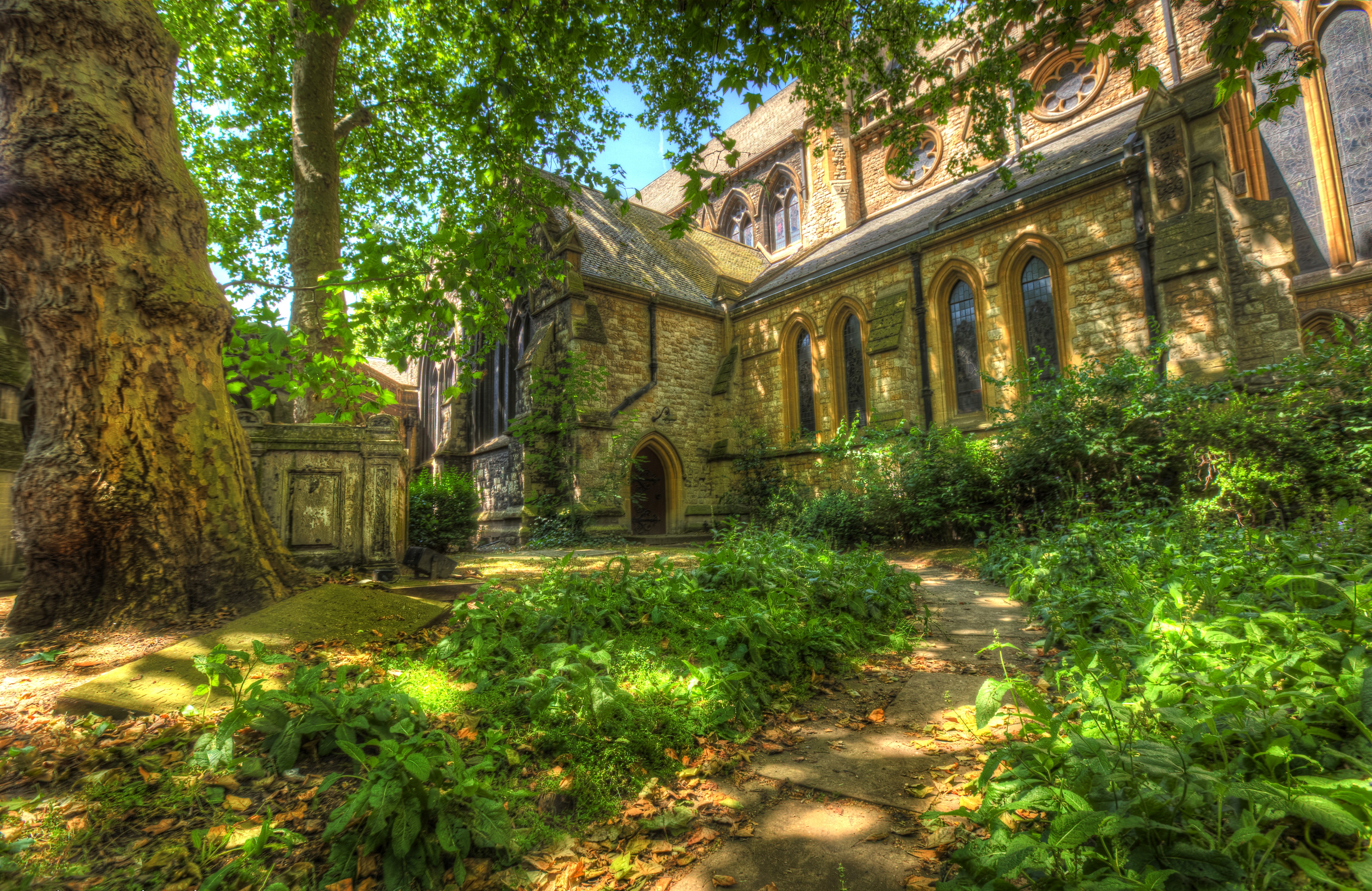 Church and graveyard with large tree HD Wallpaper