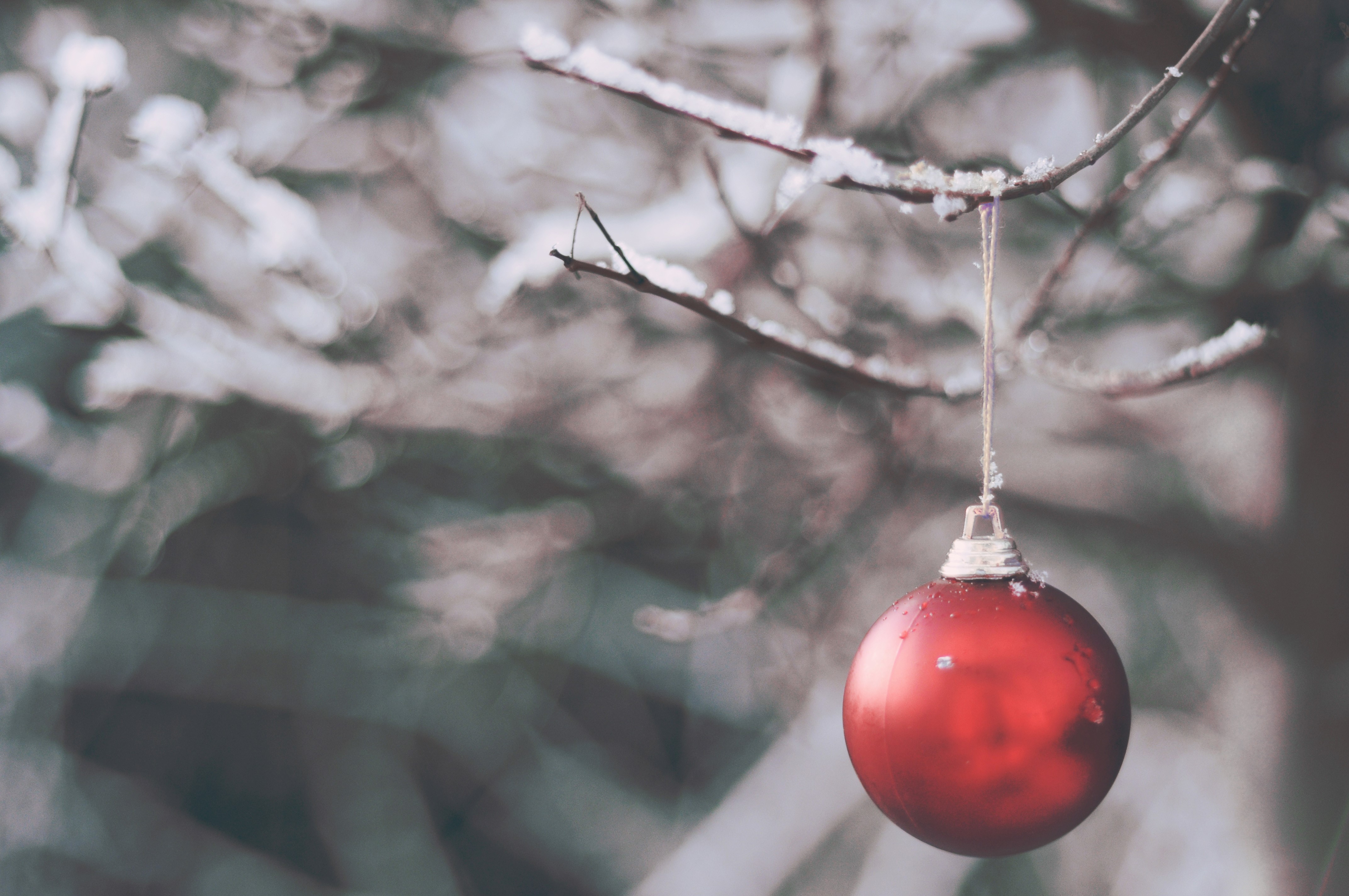 Red Christmas ornament on a snowy branch HD Wallpaper