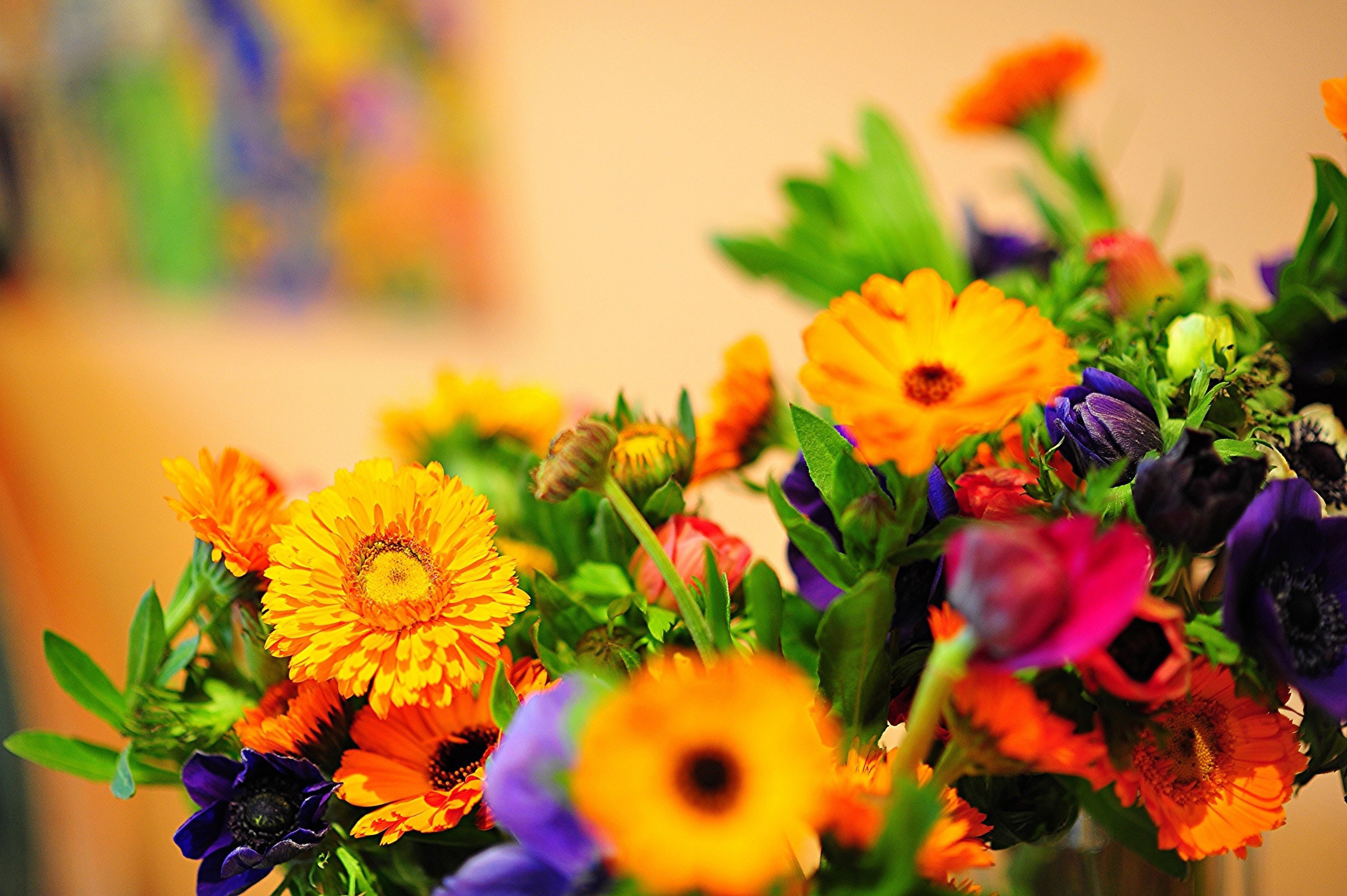 Bouquet of Anemones and Calendula flowers HD Wallpaper