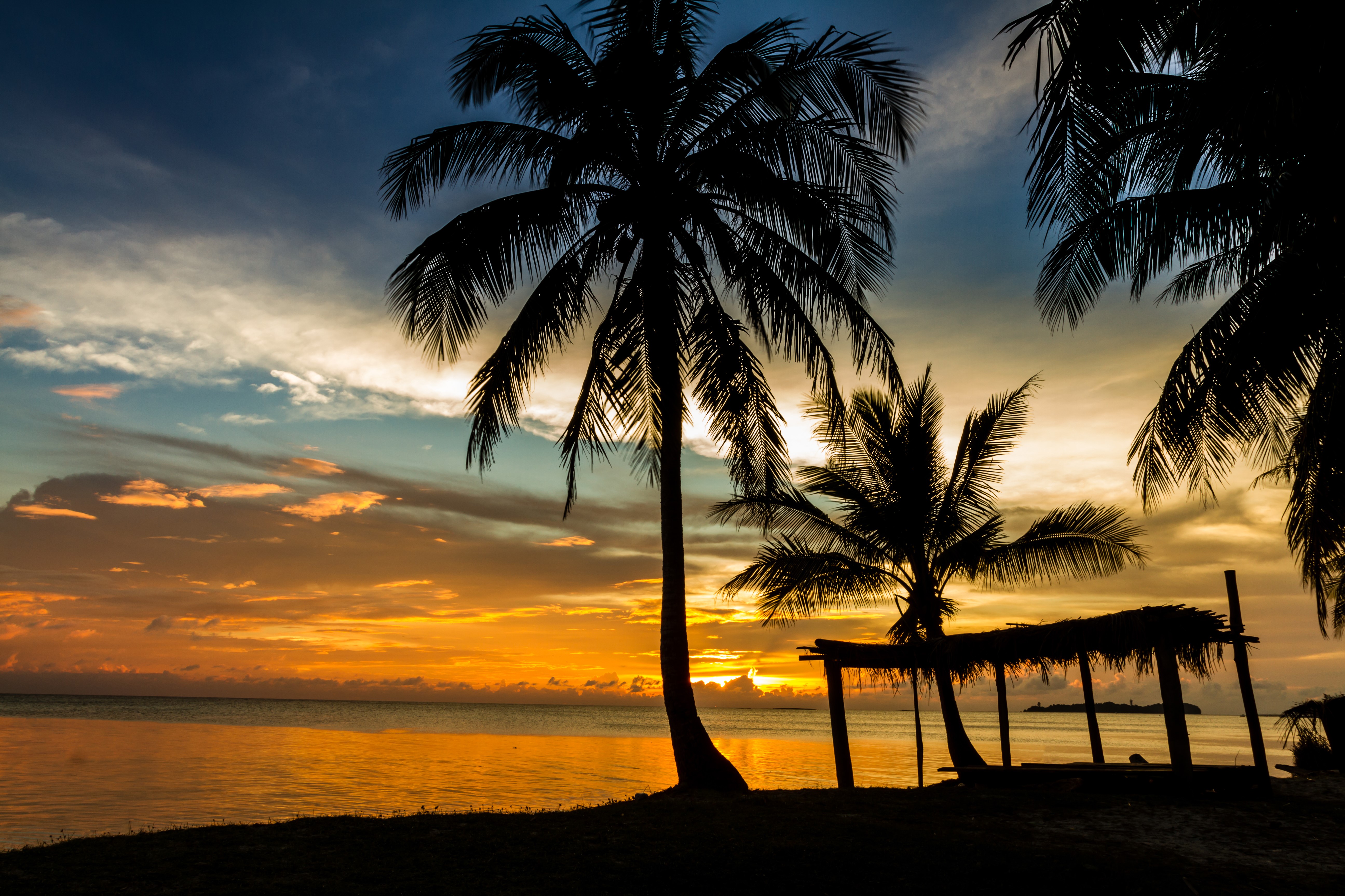 Sunset over the sea with palm trees and a hut HD Wallpaper