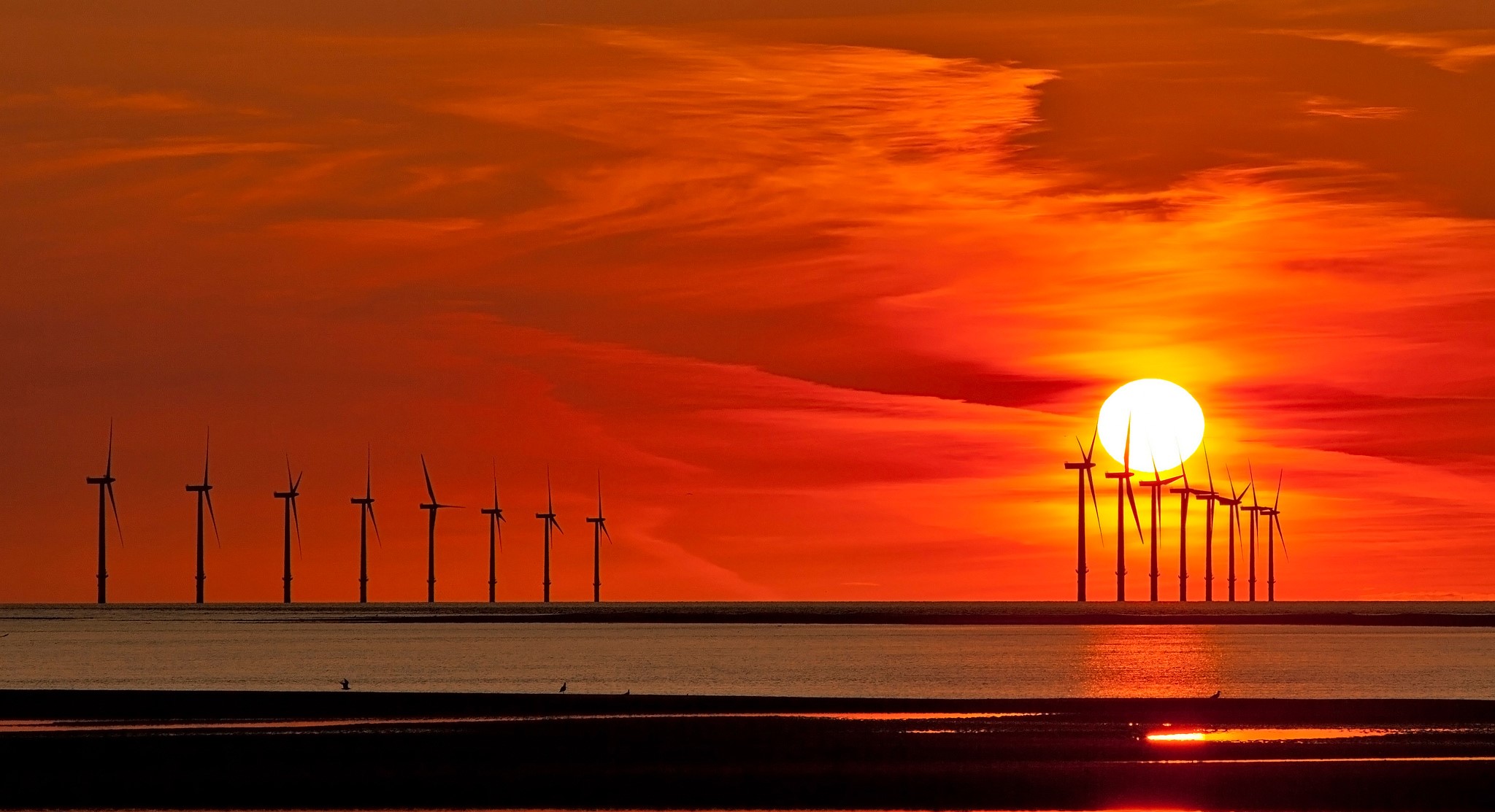 Offshore wind turbines at sunset over the sea HD Wallpaper