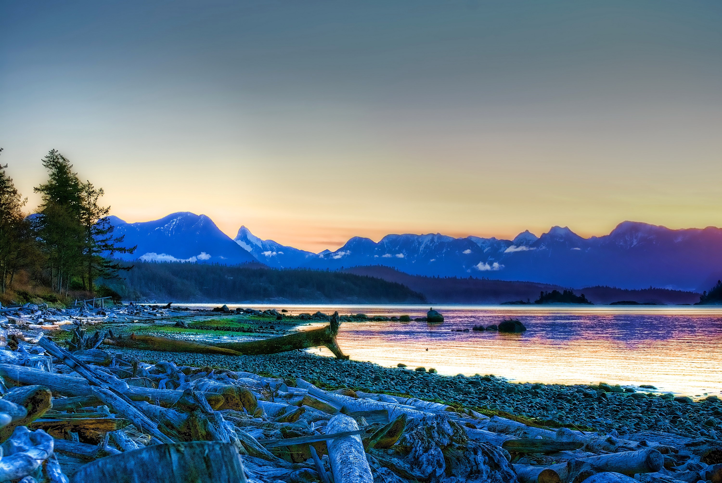 Driftwood beach at Mansons Landing Provincial Park, Canada HD Wallpaper