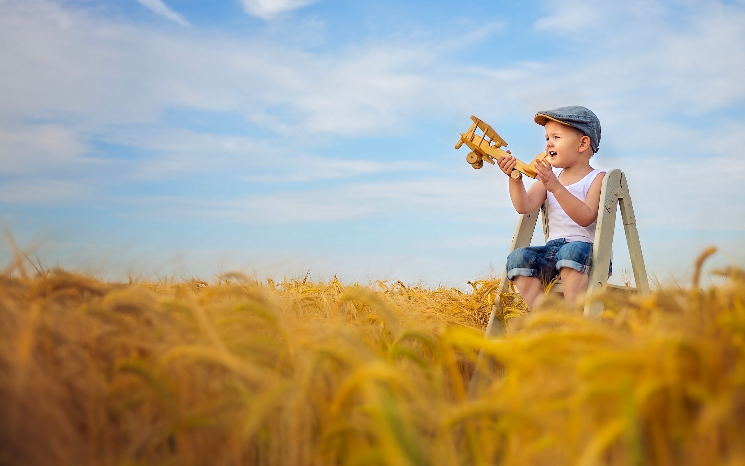 Boy with toy airplane in wheat field HD Wallpaper