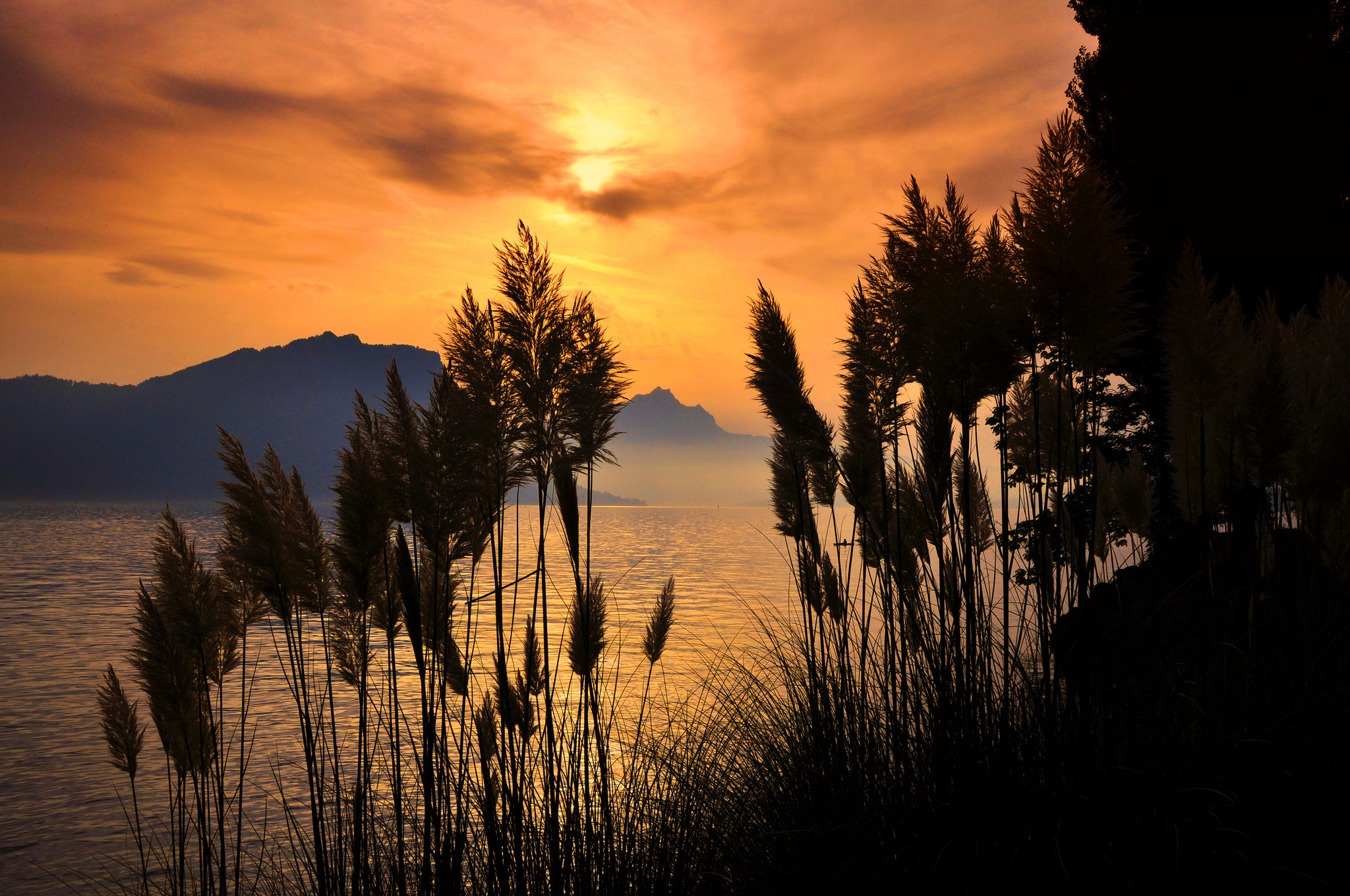 Sunset over mountains with reeds by the sea HD Wallpaper