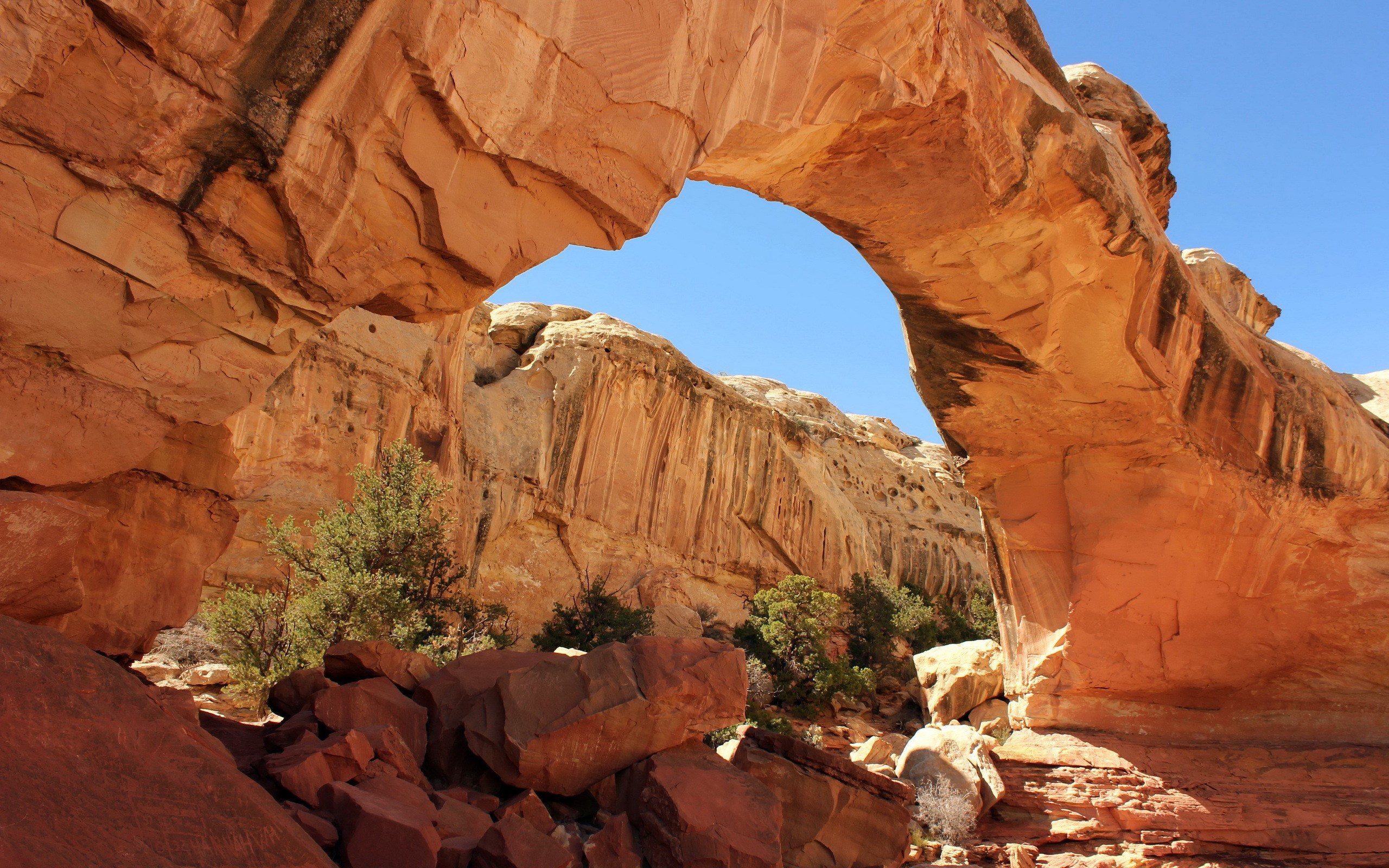 Natural sandstone arch in a desert canyon HD Wallpaper