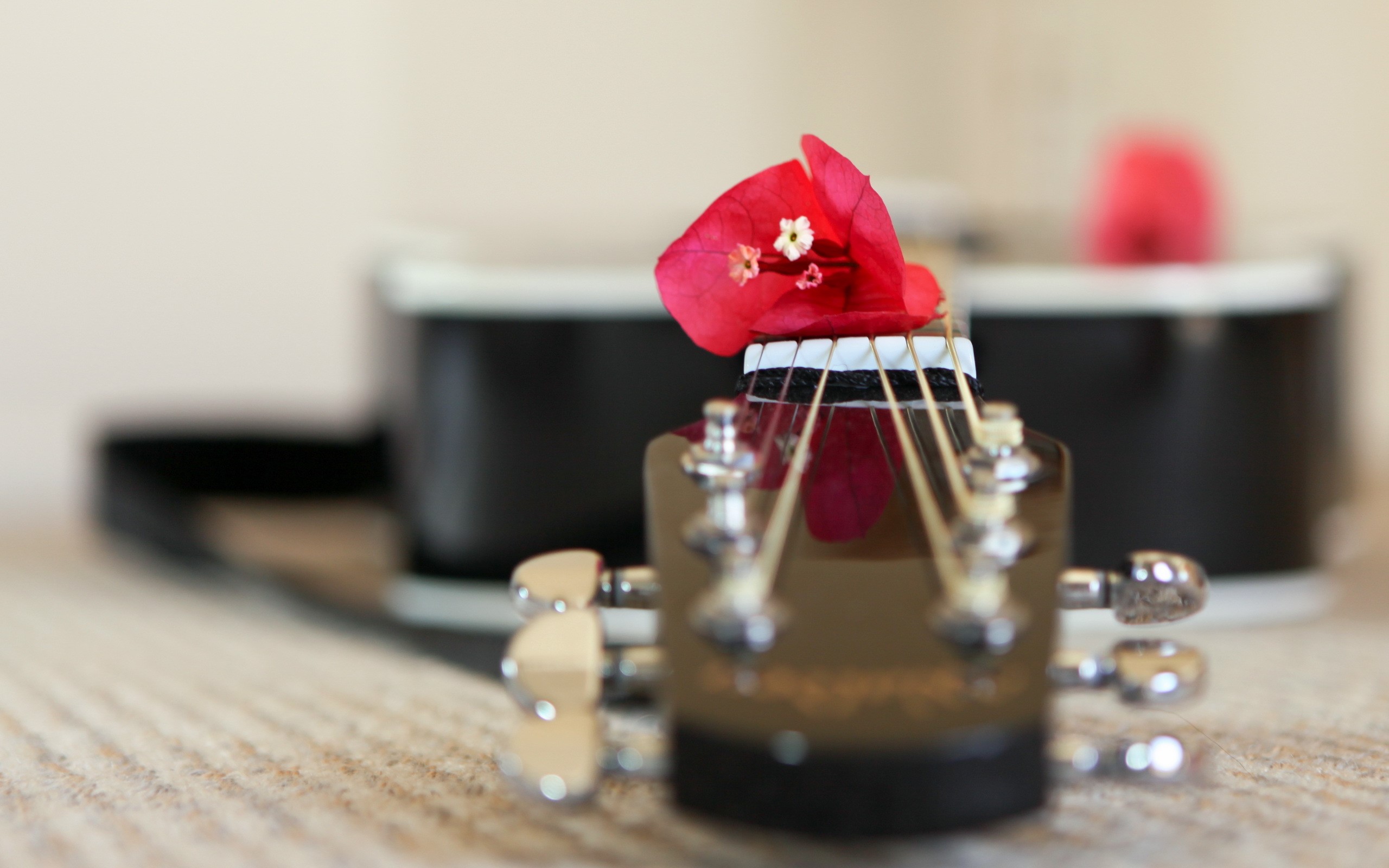 Guitar headstock with red flower HD Wallpaper