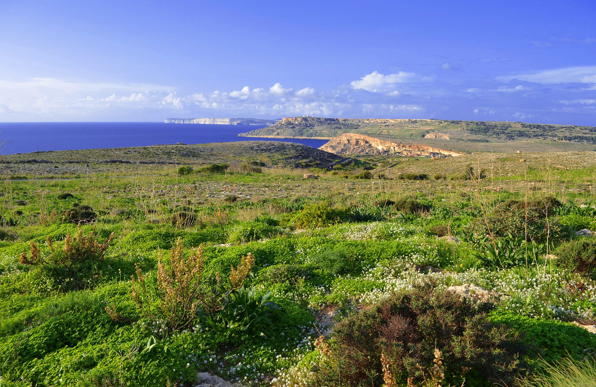 Green landscape with sea and cliffs in Malta HD Wallpaper