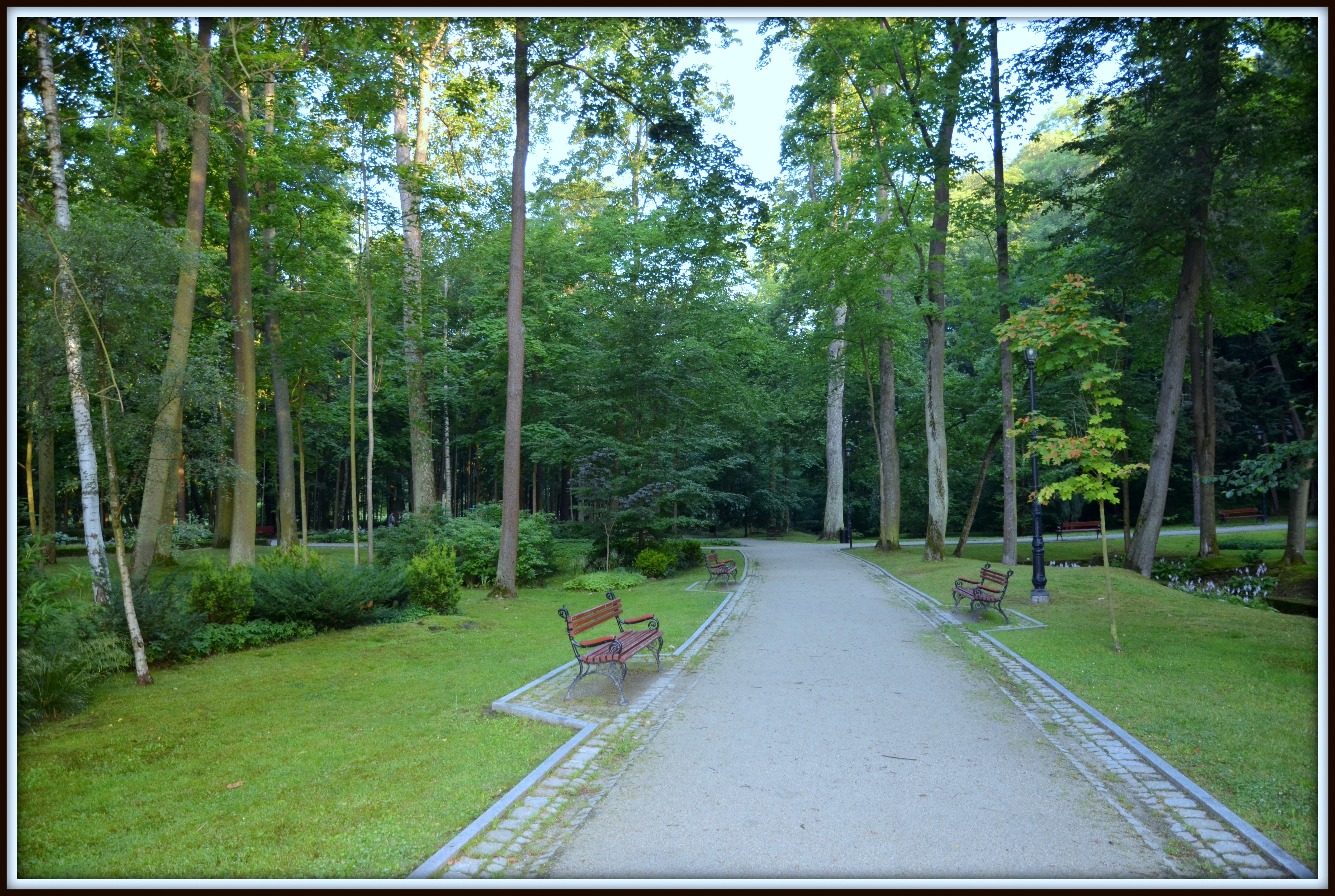 Park with Benches and Trees HD Wallpaper