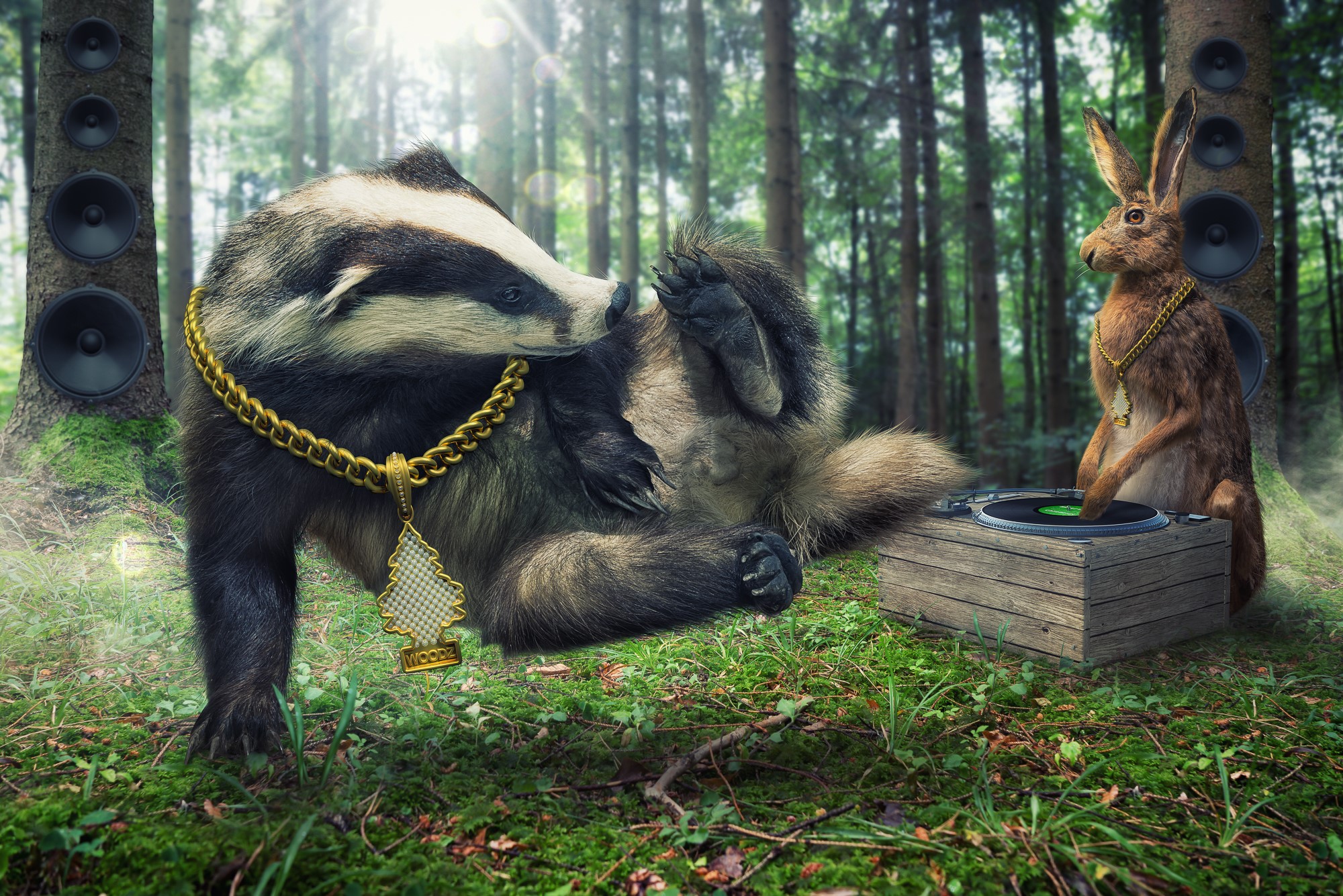 Badger and Hare DJing in a Forest HD Wallpaper