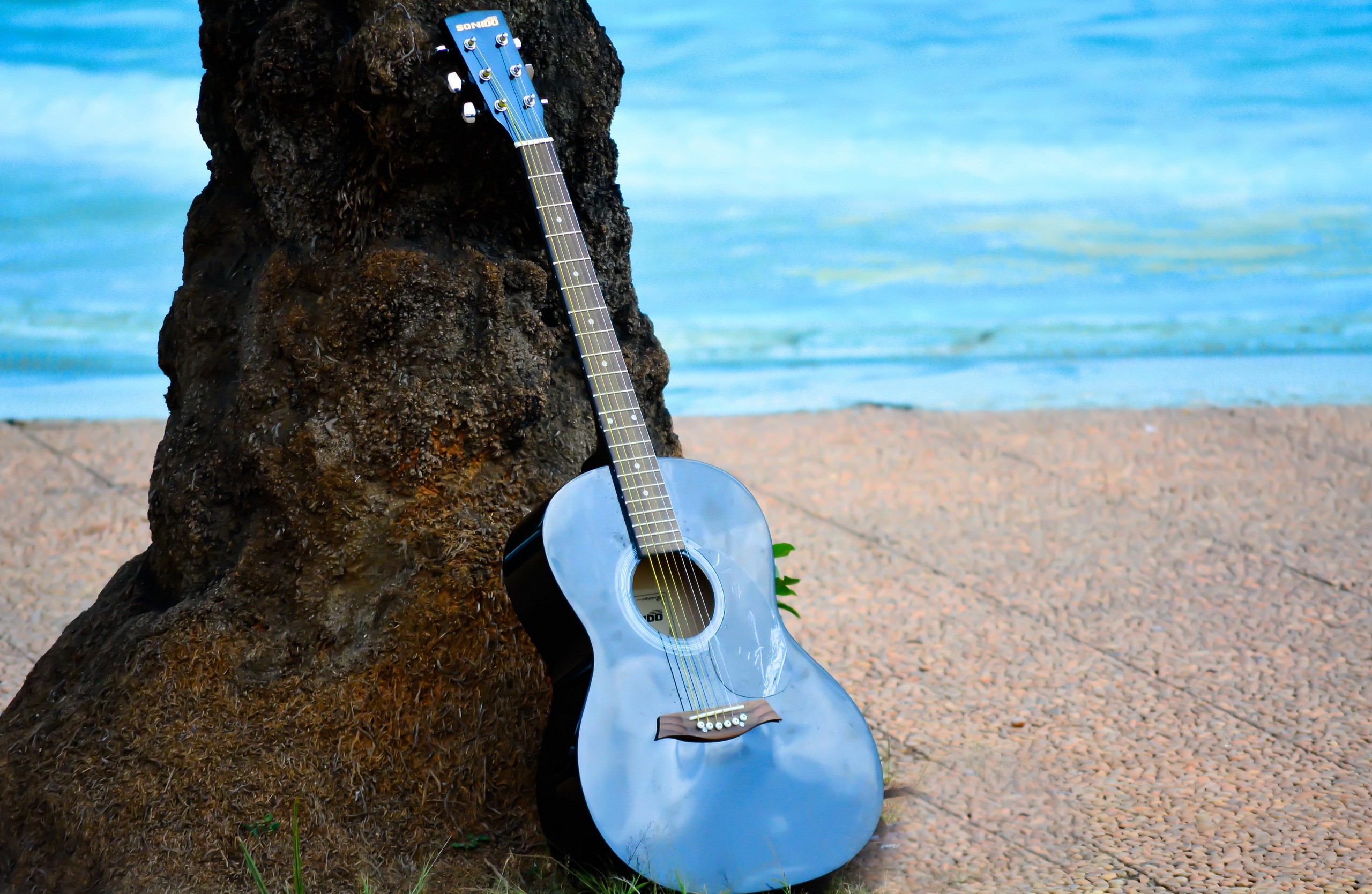 Blue acoustic guitar leaning against a tree on a beach HD Wallpaper