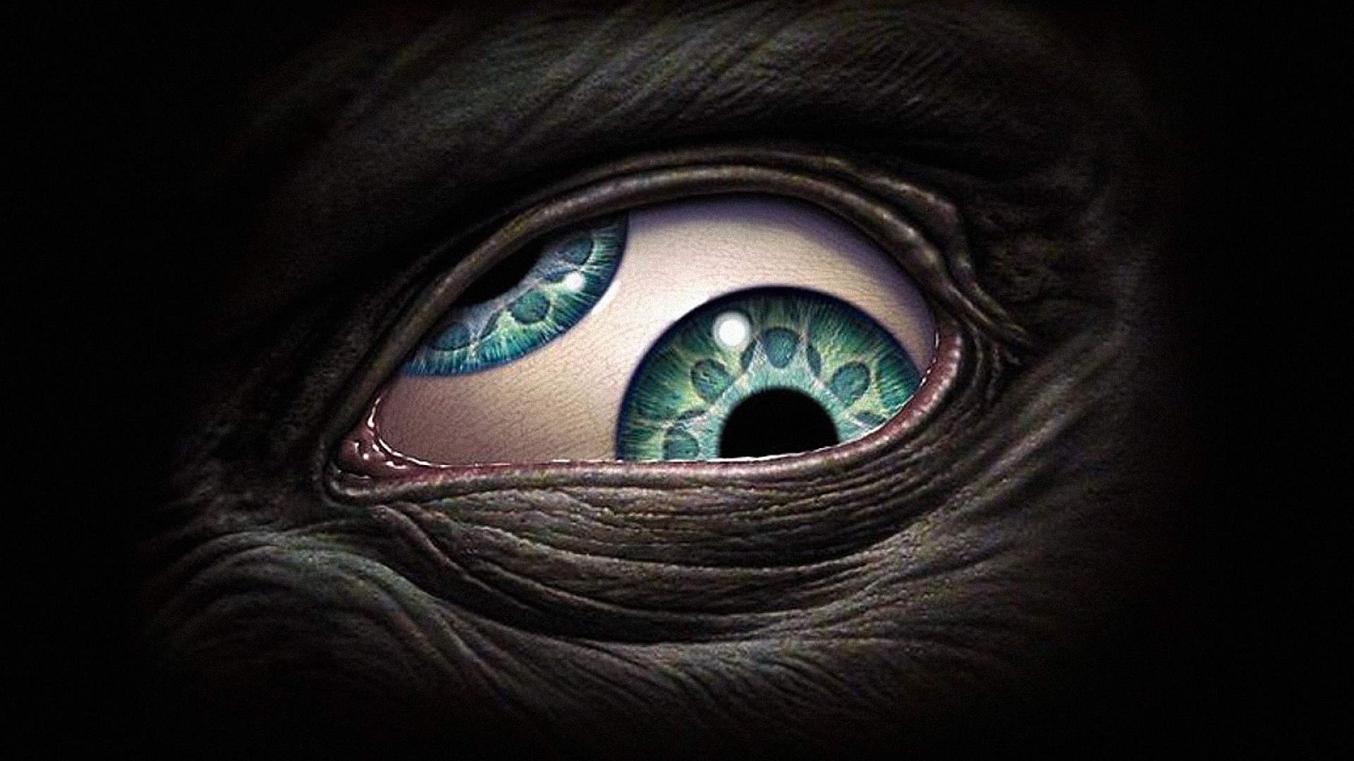 Close-up of a monstrous eye HD Wallpaper