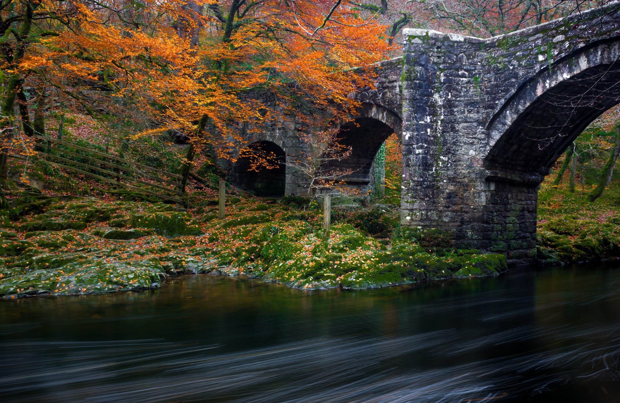 Stone bridge over a river in autumn park HD Wallpaper