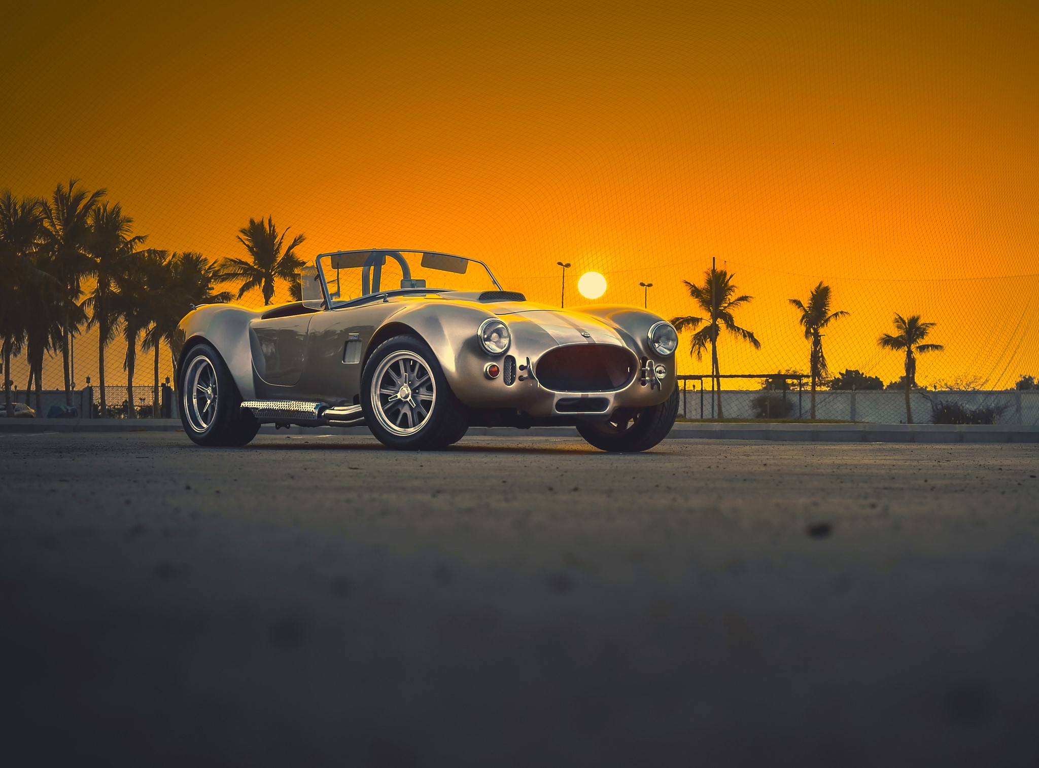 Classic AC Cobra convertible at sunset with palm trees HD Wallpaper