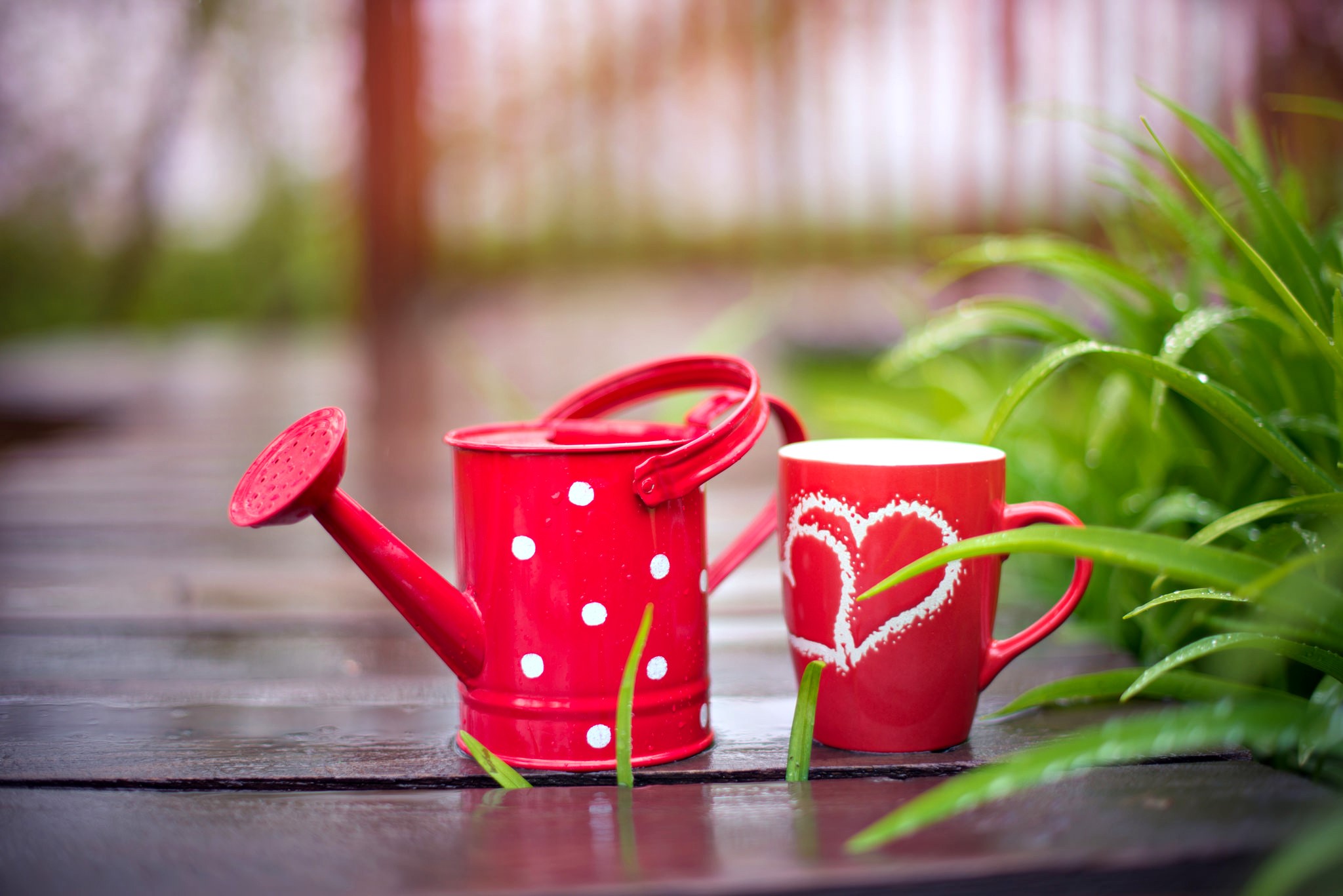 Red watering can and mug with hearts on wooden surface HD Wallpaper