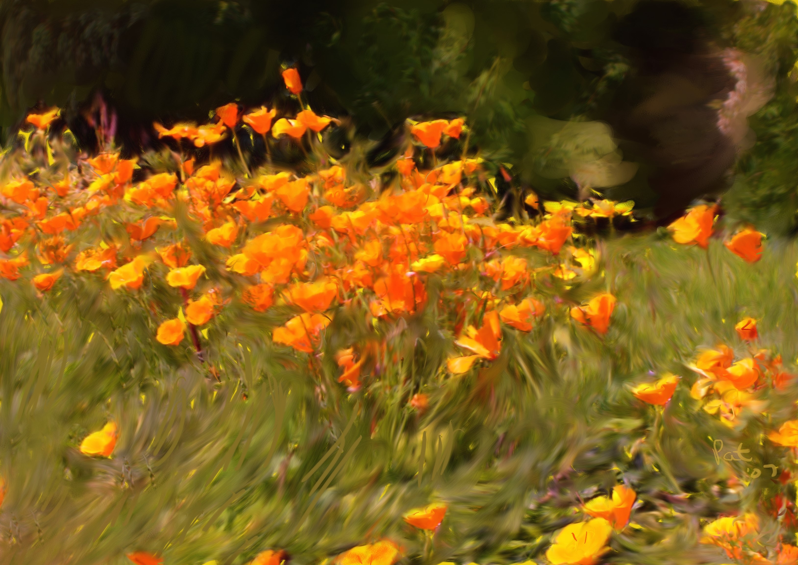 Field of orange poppies painted in impressionistic style HD Wallpaper