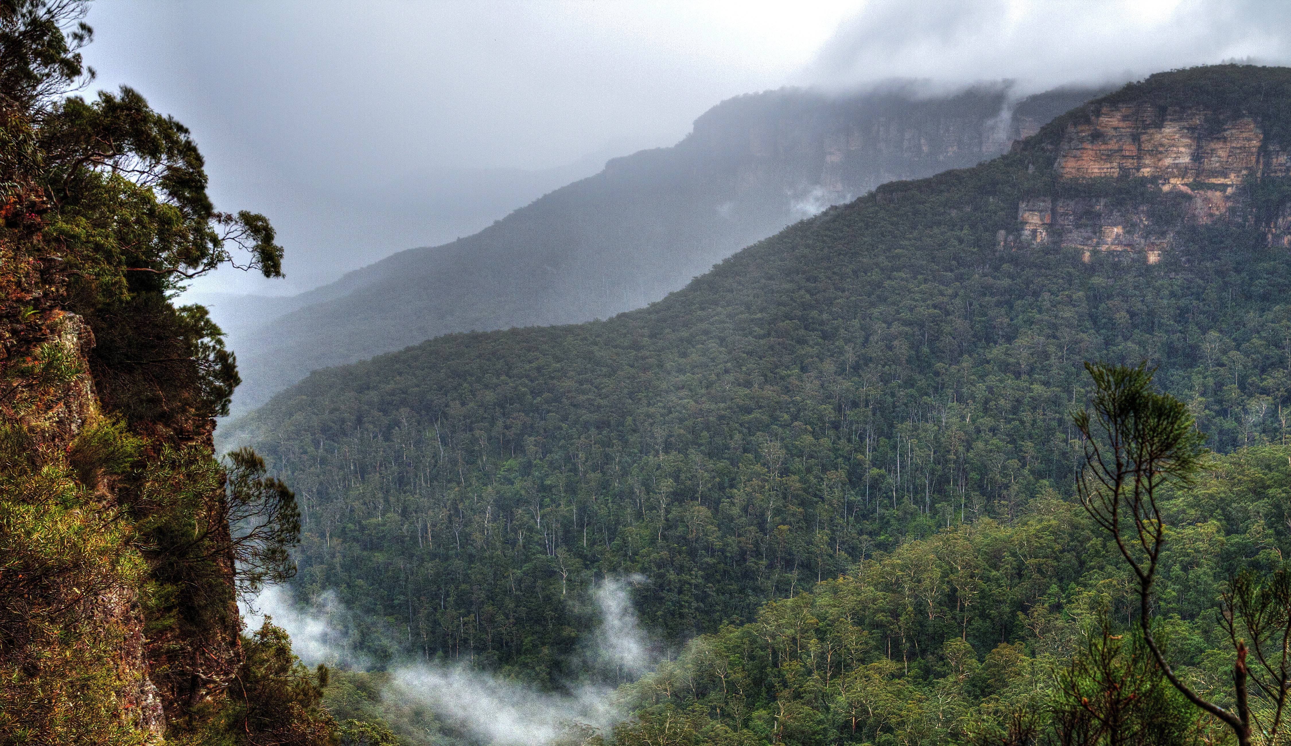 4K Blue Mountains National Park, Australia HD Wallpaper