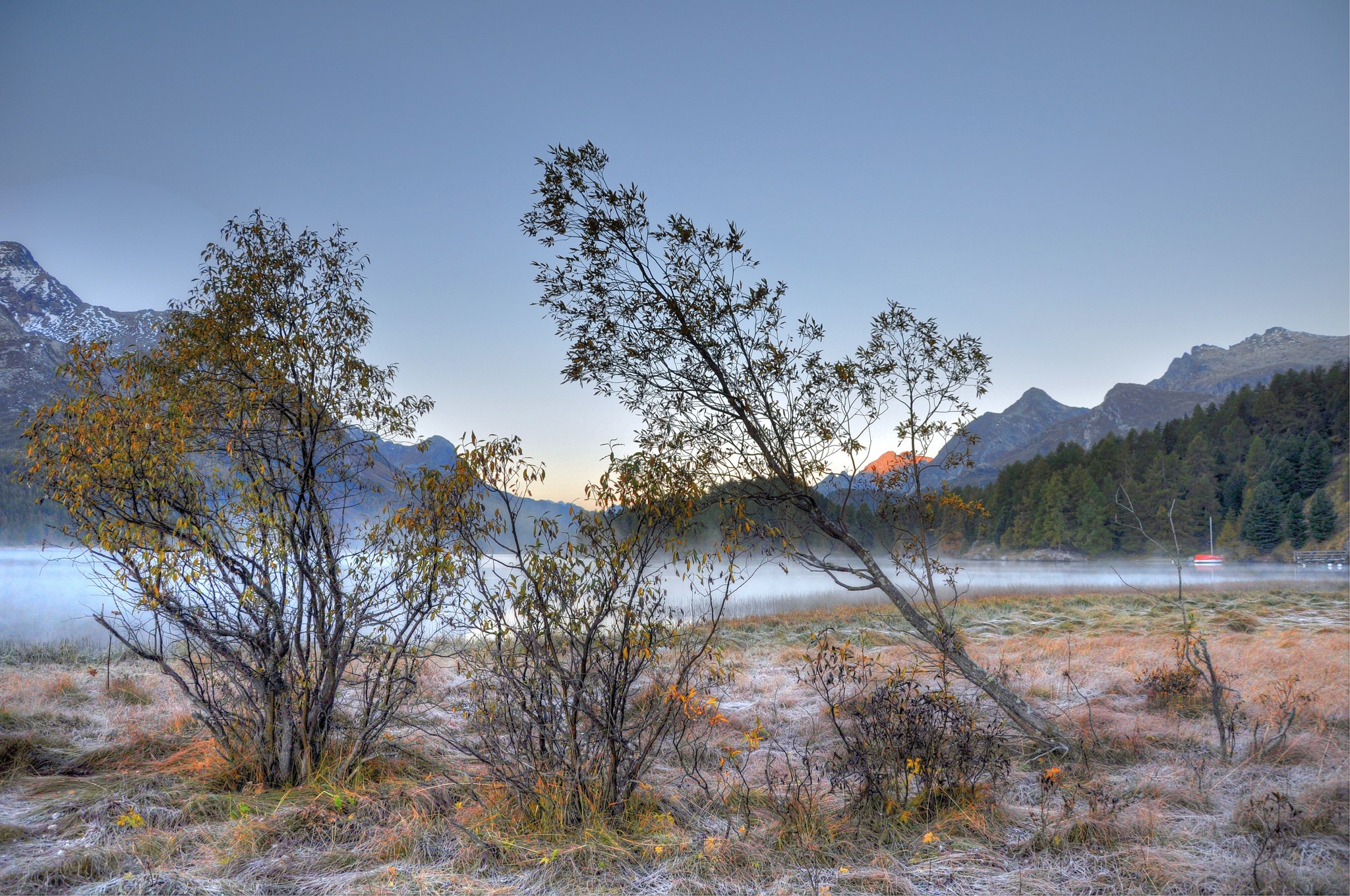 Misty lake with mountains and trees at sunrise HD Wallpaper