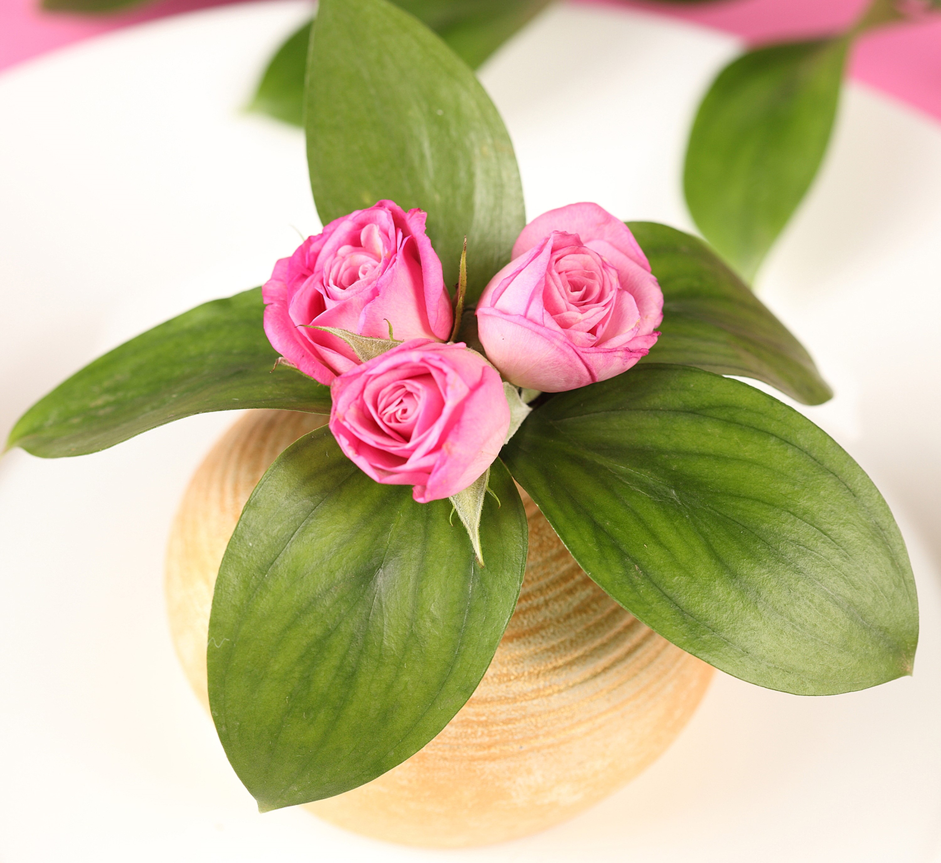 Three pink roses in a textured vase with green leaves HD Wallpaper