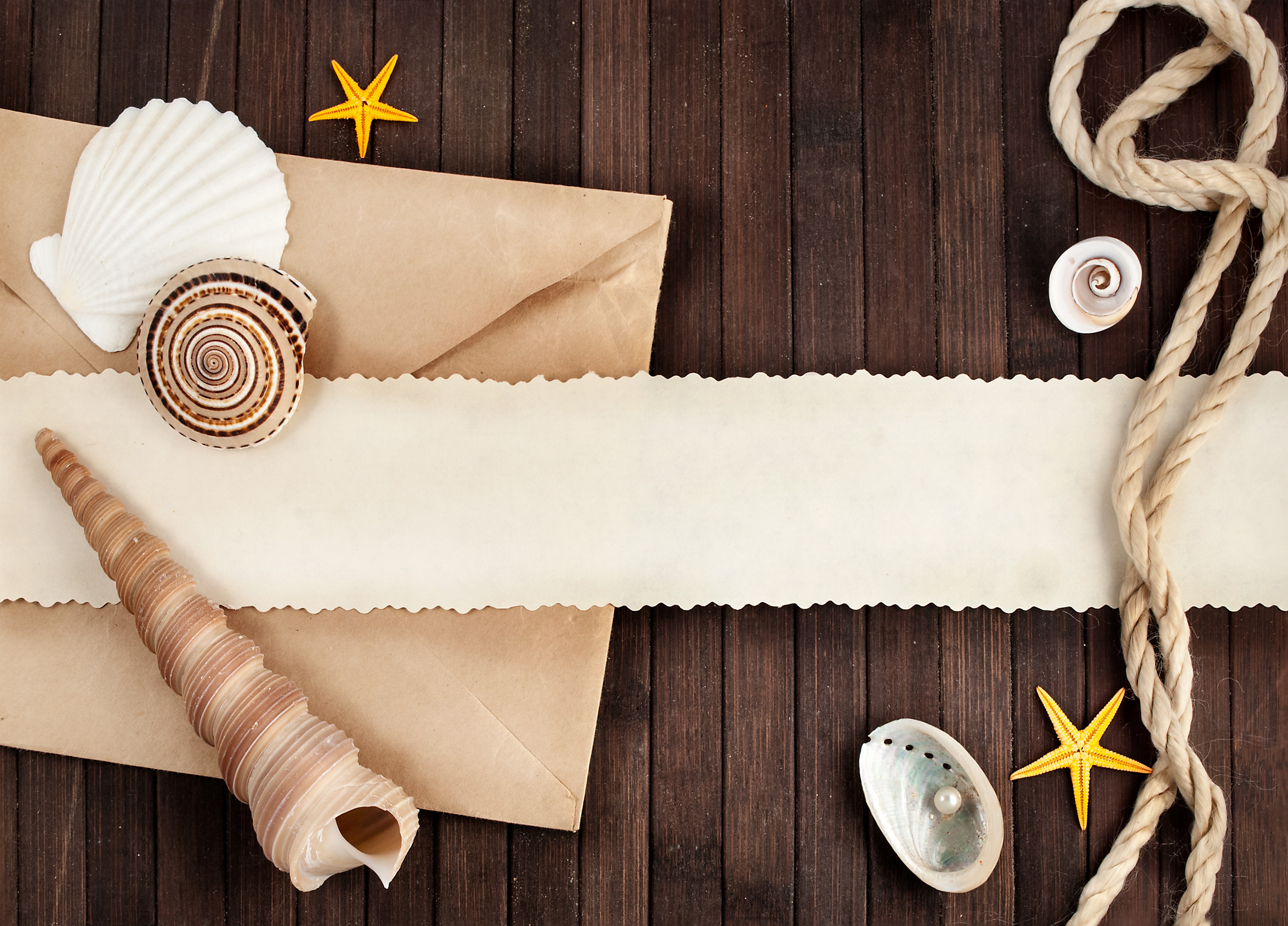 Shells, Starfish, and Rope on Wooden Background HD Wallpaper
