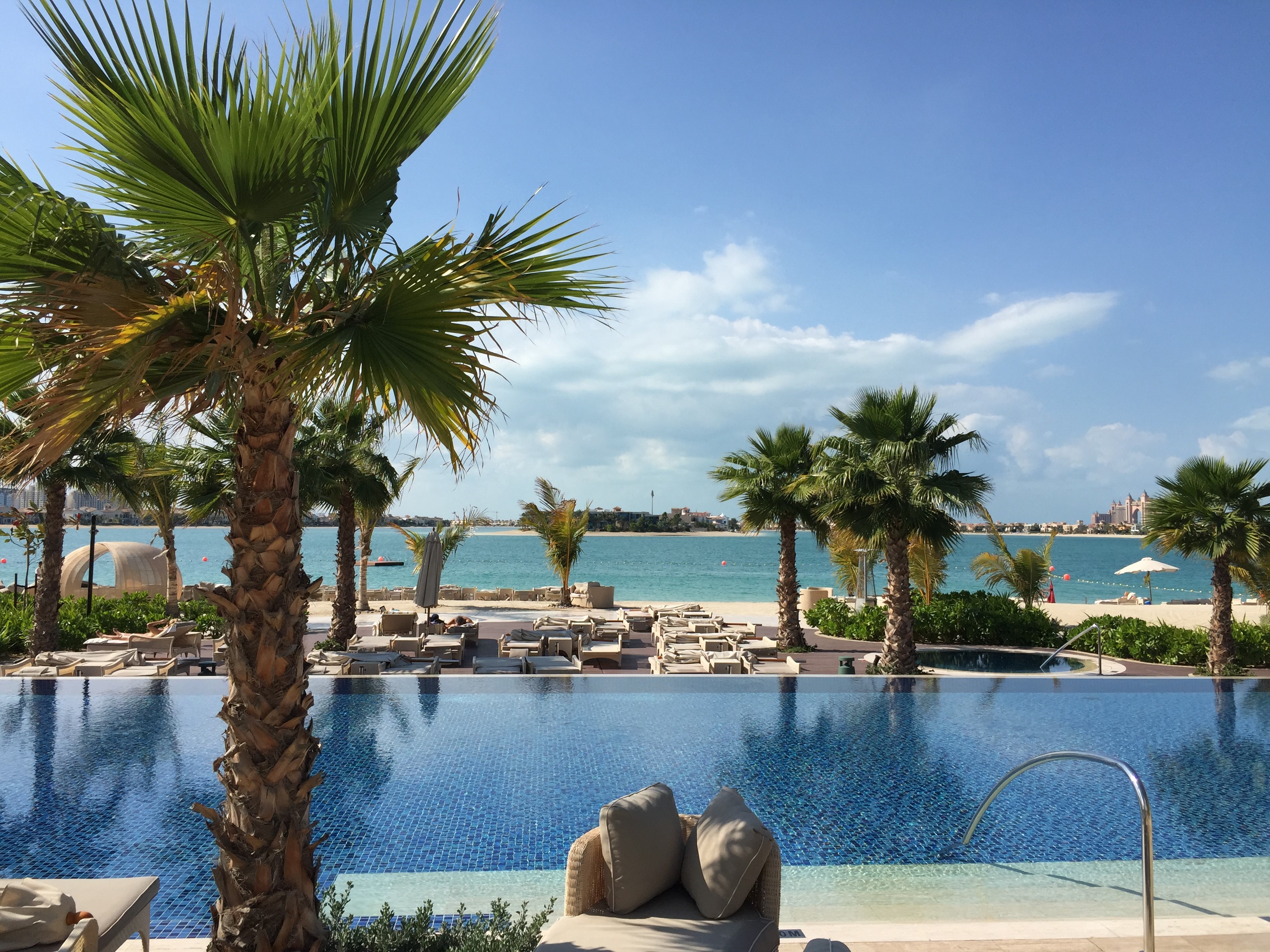 Infinity Pool and Palm Trees in Dubai, UAE HD Wallpaper