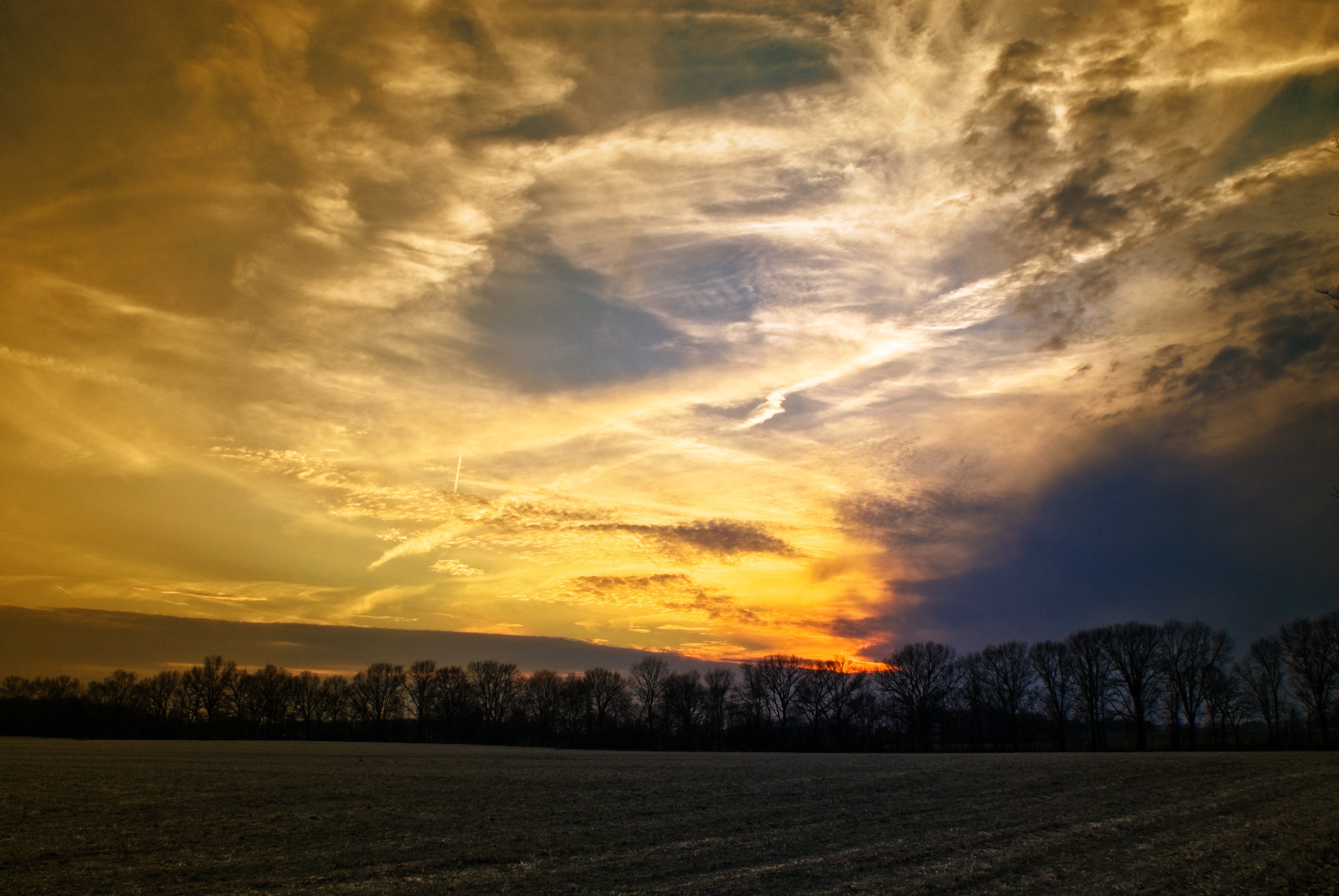 Sunset over a field with trees HD Wallpaper